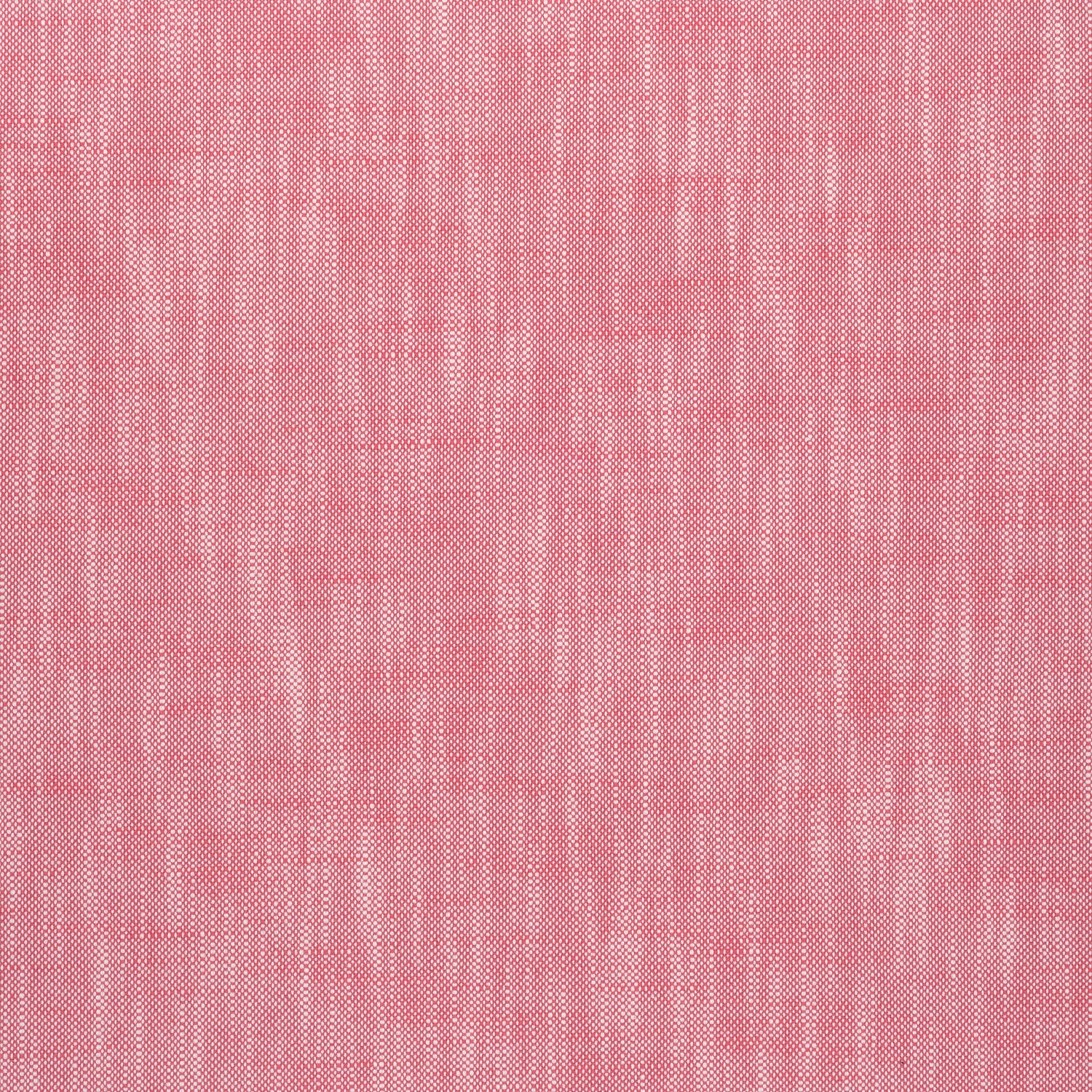 Bristol fabric in peony color - pattern number W73406 - by Thibaut in the Soleil Textures collection