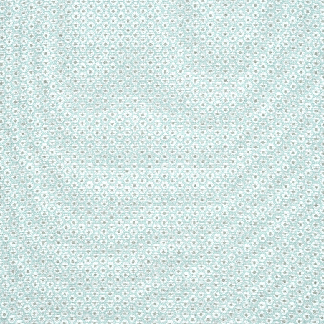 Pixie fabric in seafoam and sterling color - pattern number W73465 - by Thibaut in the Landmark collection