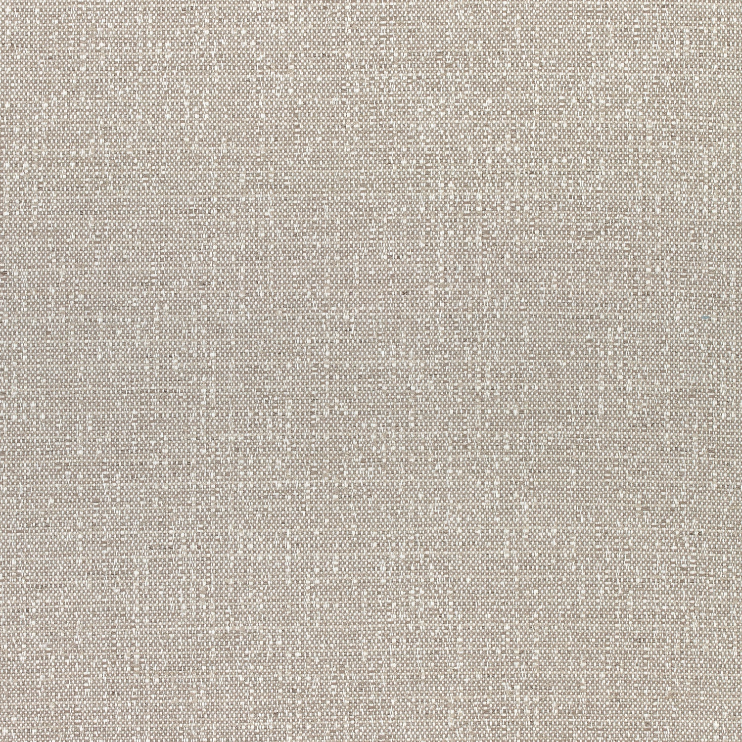 Everly fabric in stone color - pattern number W74057 - by Thibaut in the Cadence collection