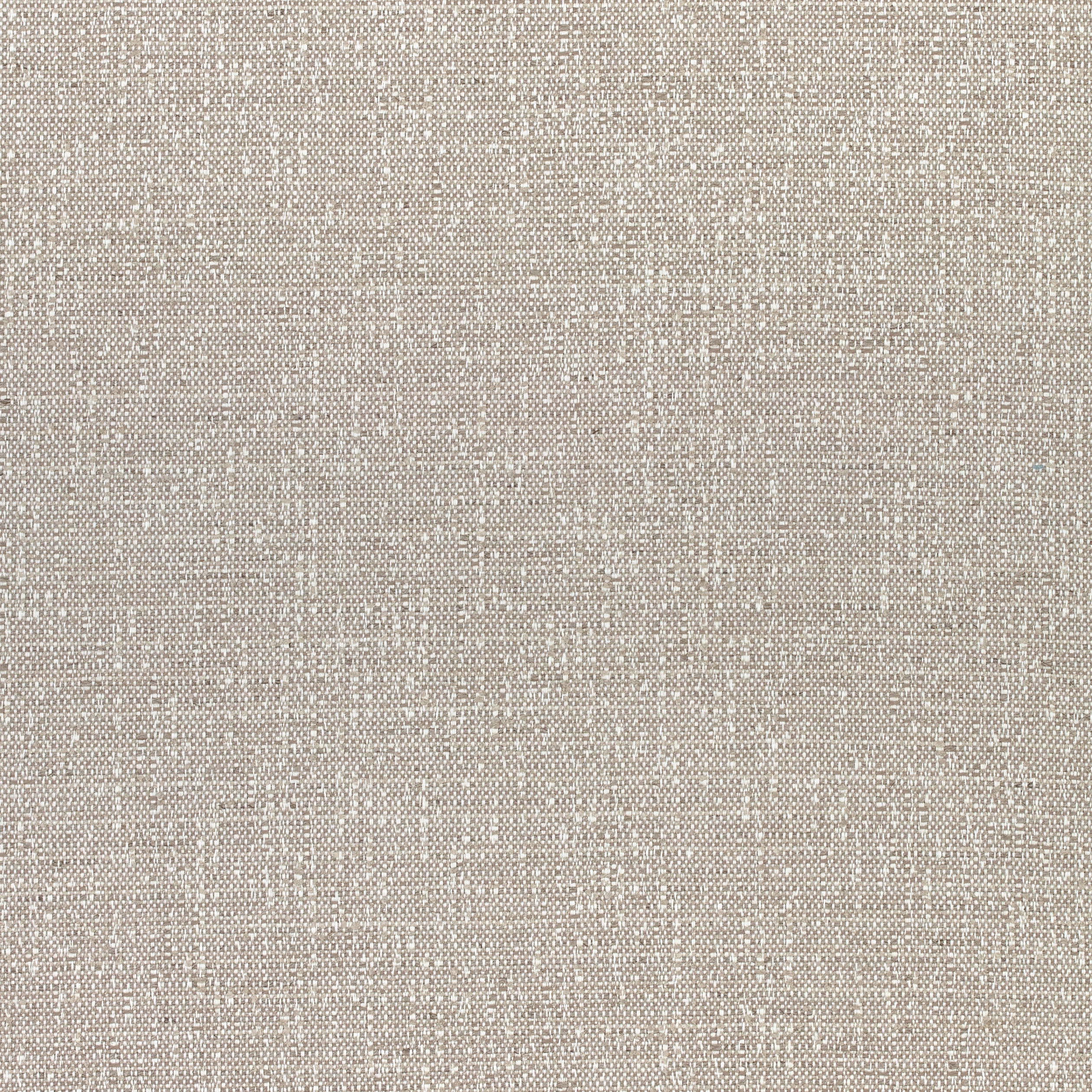 Everly fabric in stone color - pattern number W74057 - by Thibaut in the Cadence collection