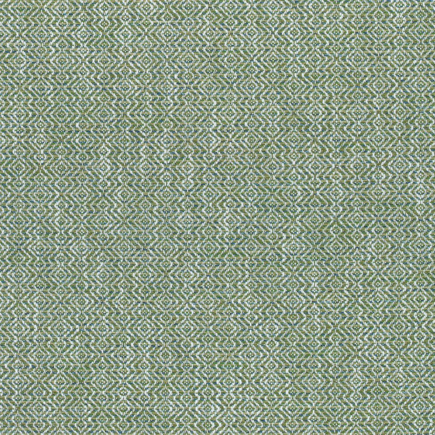 Kingsley fabric in grass color - pattern number W74068 - by Thibaut in the Cadence collection