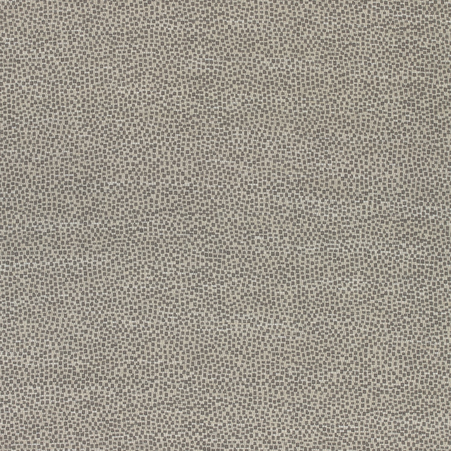 Nala fabric in stone color - pattern number W74077 - by Thibaut in the Cadence collection