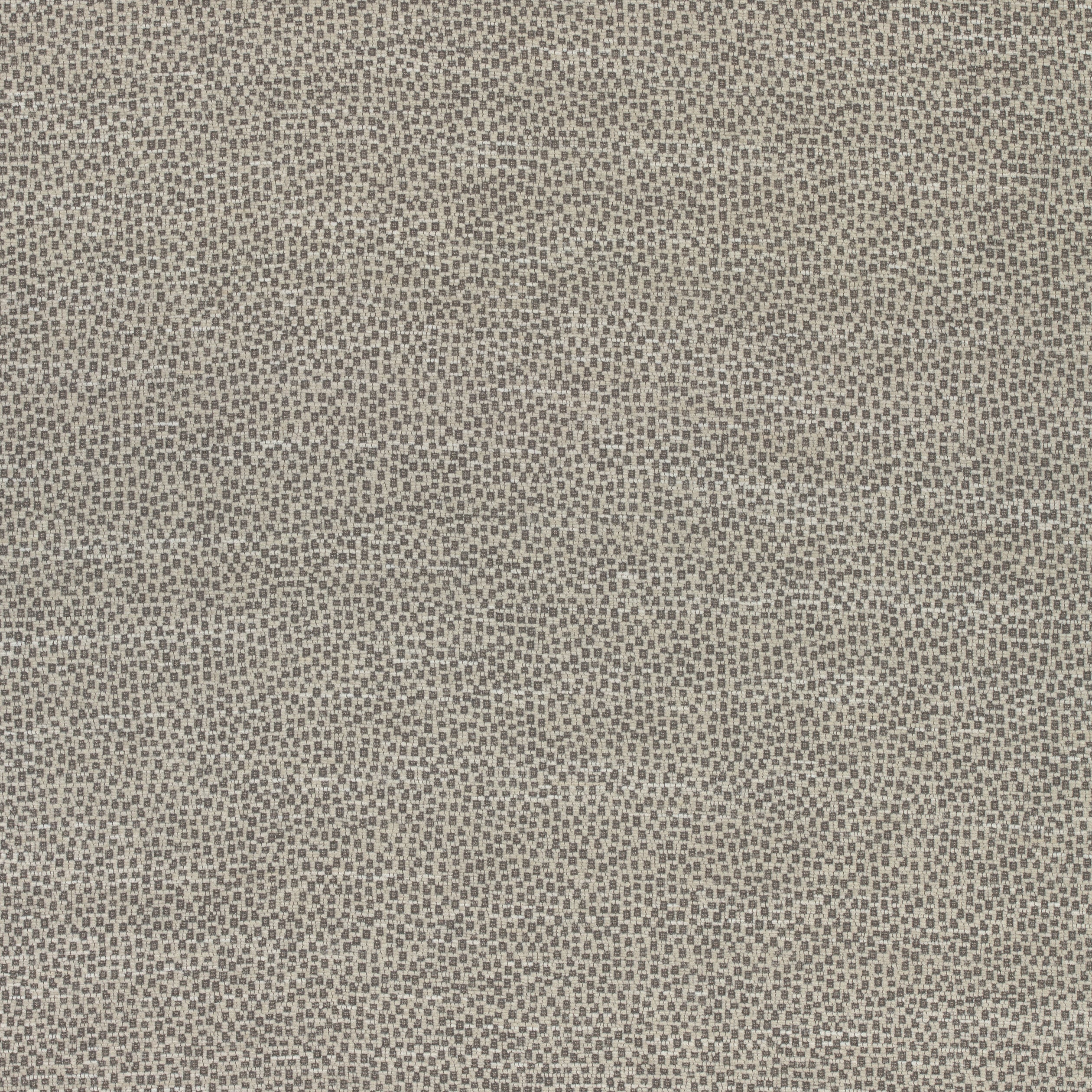 Nala fabric in stone color - pattern number W74077 - by Thibaut in the Cadence collection