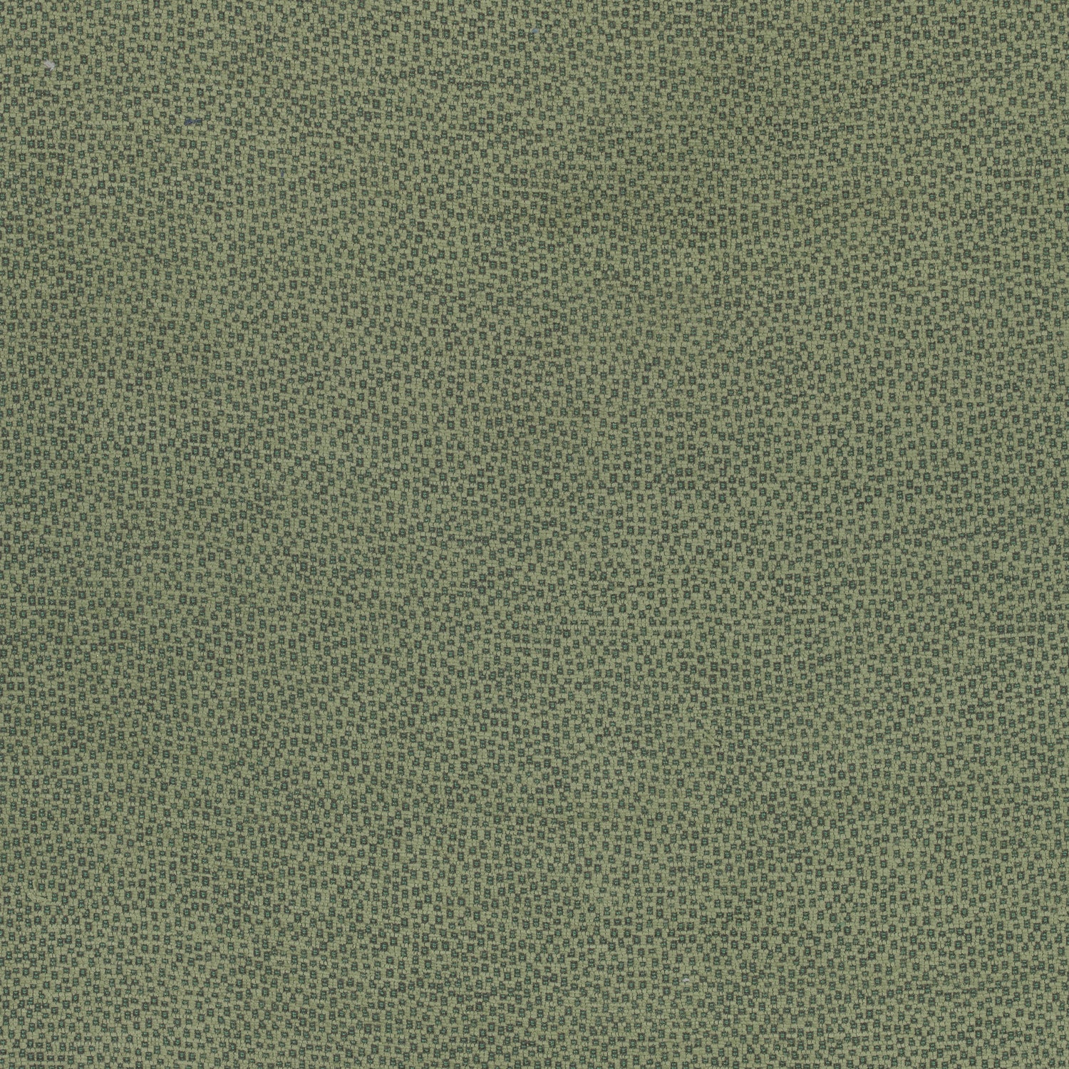 Nala fabric in emerald color - pattern number W74078 - by Thibaut in the Cadence collection