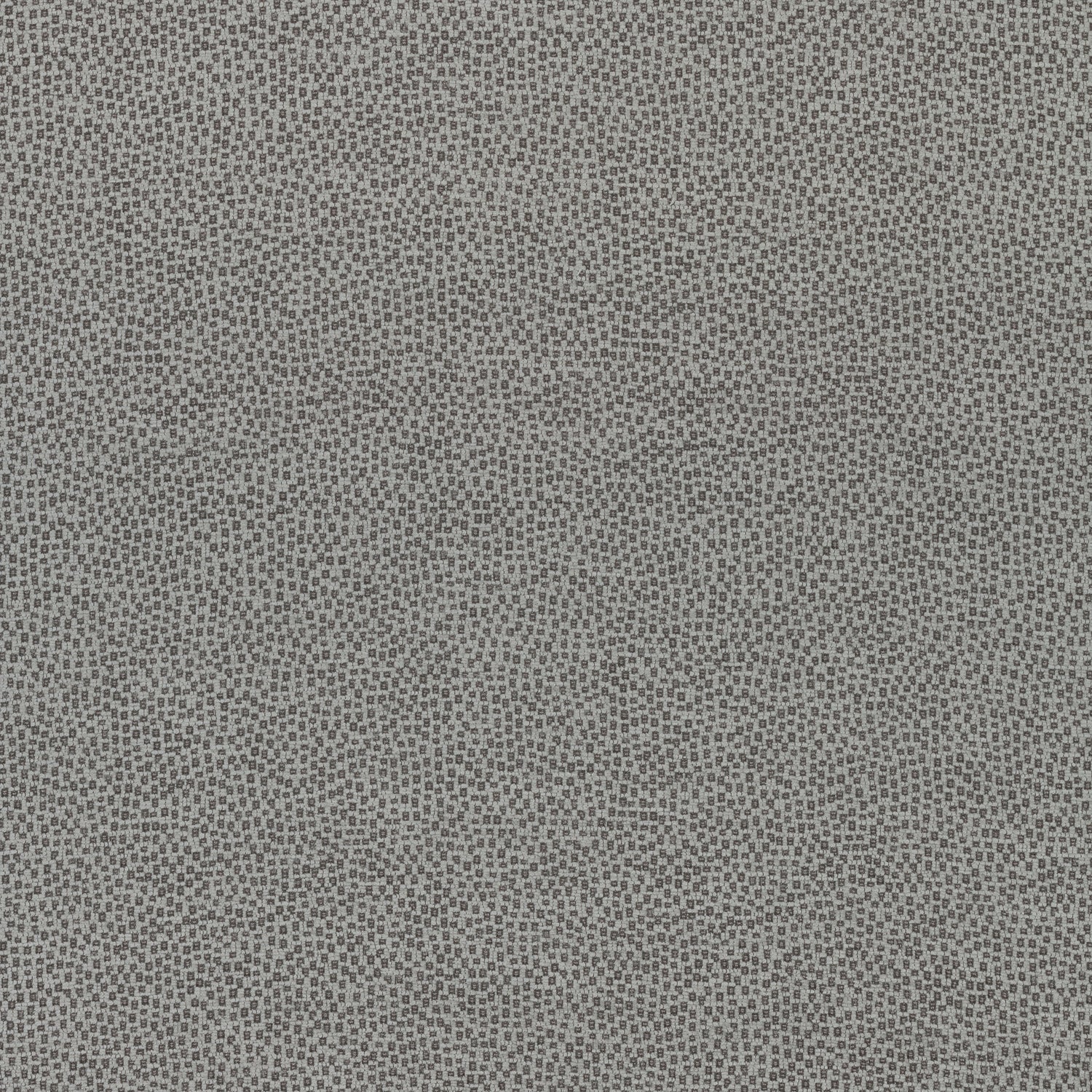 Nala fabric in charcoal color - pattern number W74081 - by Thibaut in the Cadence collection