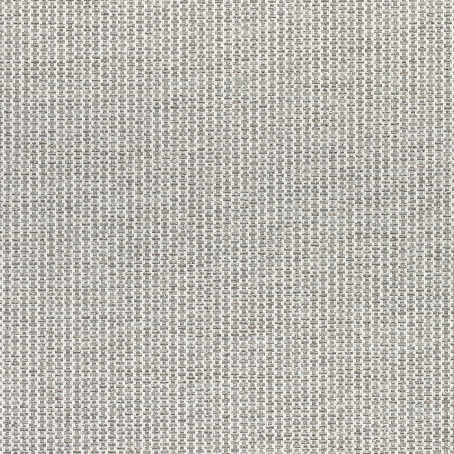 Ryder fabric in dark grey color - pattern number W74089 - by Thibaut in the Cadence collection
