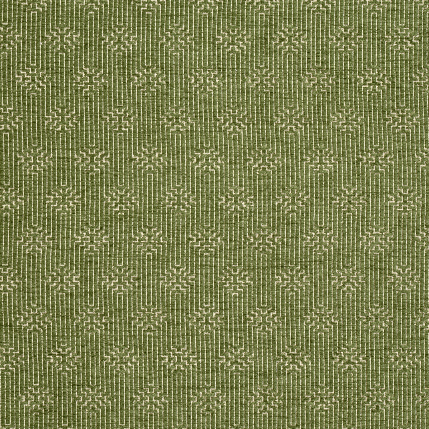 Crete fabric in olive color - pattern number W74211 - by Thibaut in the Passage collection