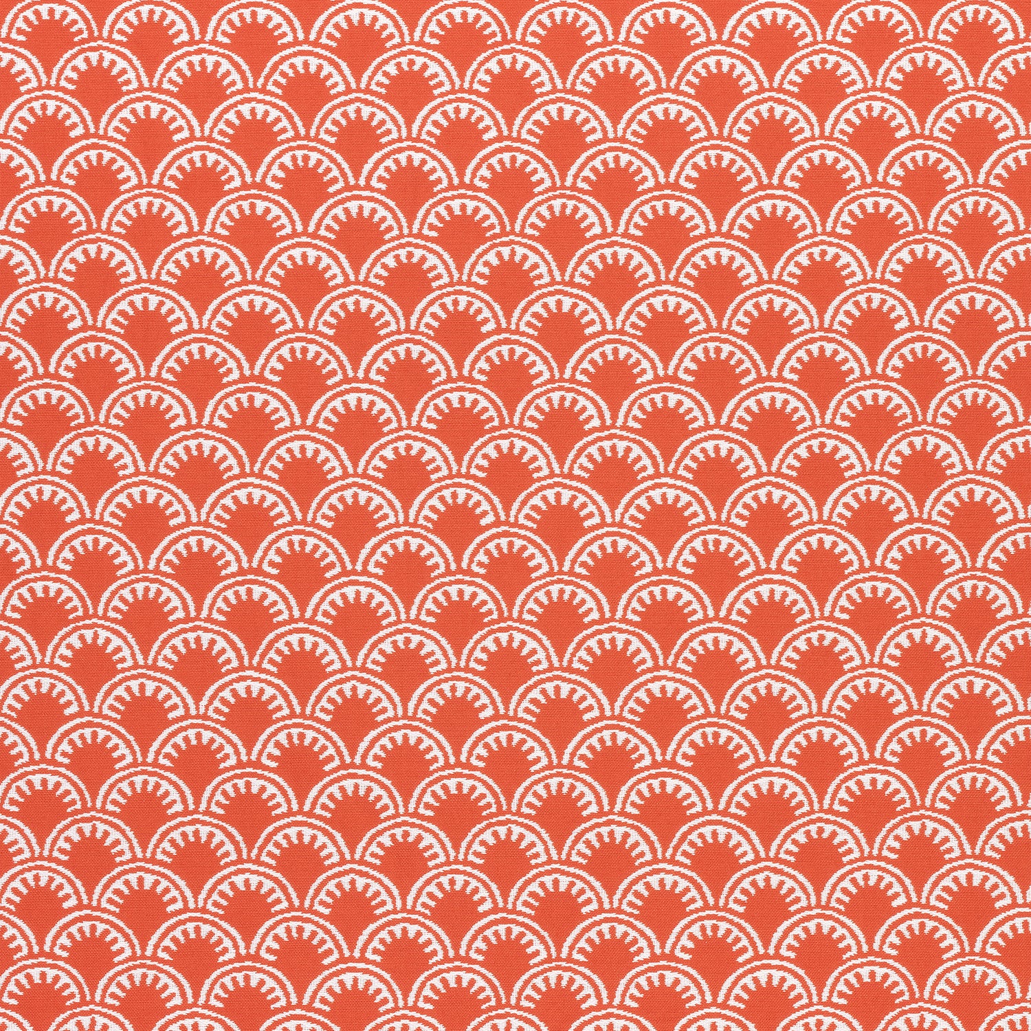 Maisie fabric in coral color - pattern number W74632 - by Thibaut in the Festival collection