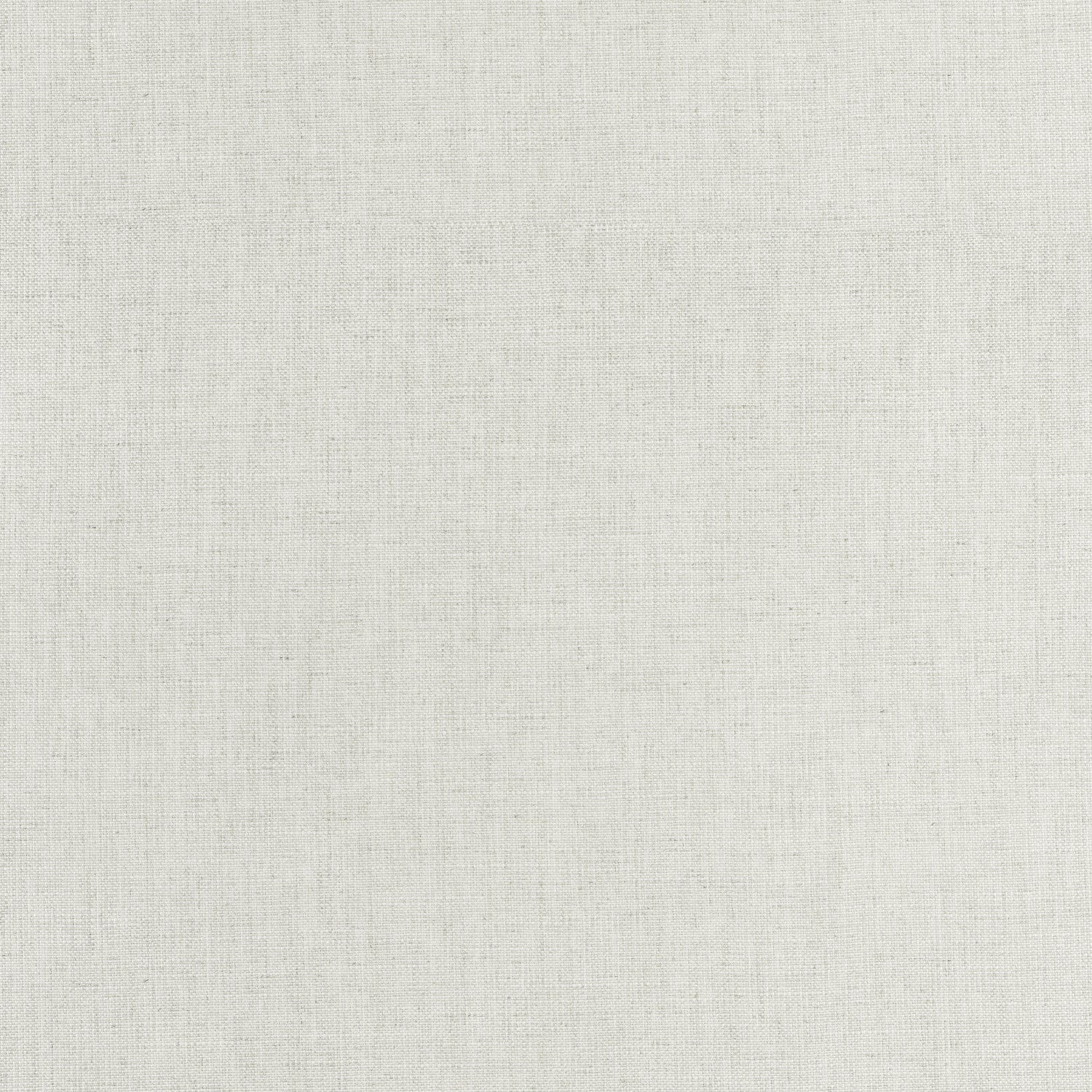 Ambient fabric in platinum color - pattern number W75205 - by Thibaut in the Elements collection