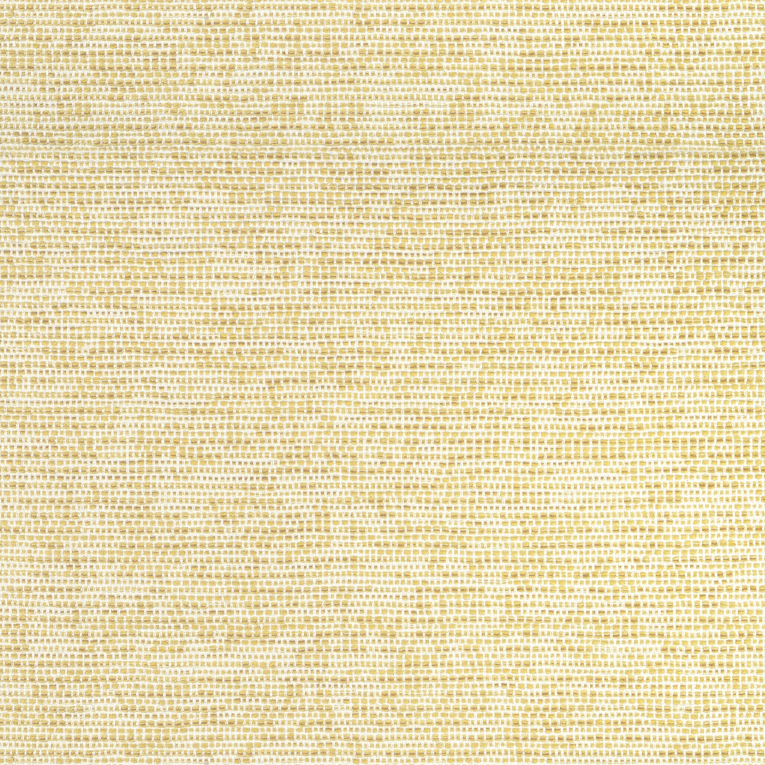 Borealis fabric in buttercup color - pattern number W75232 - by Thibaut in the Elements collection