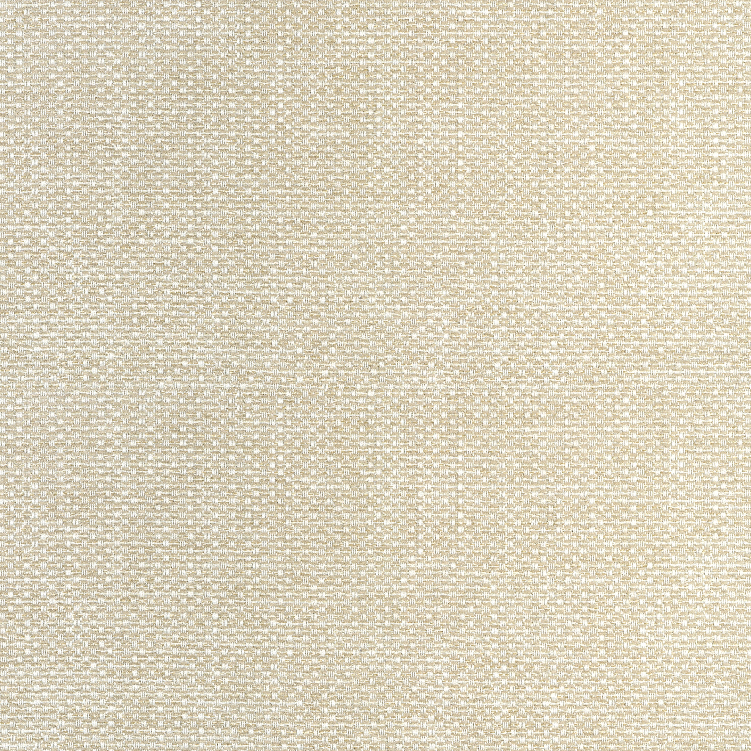 Cascade fabric in linen color - pattern number W75253 - by Thibaut in the Elements collection
