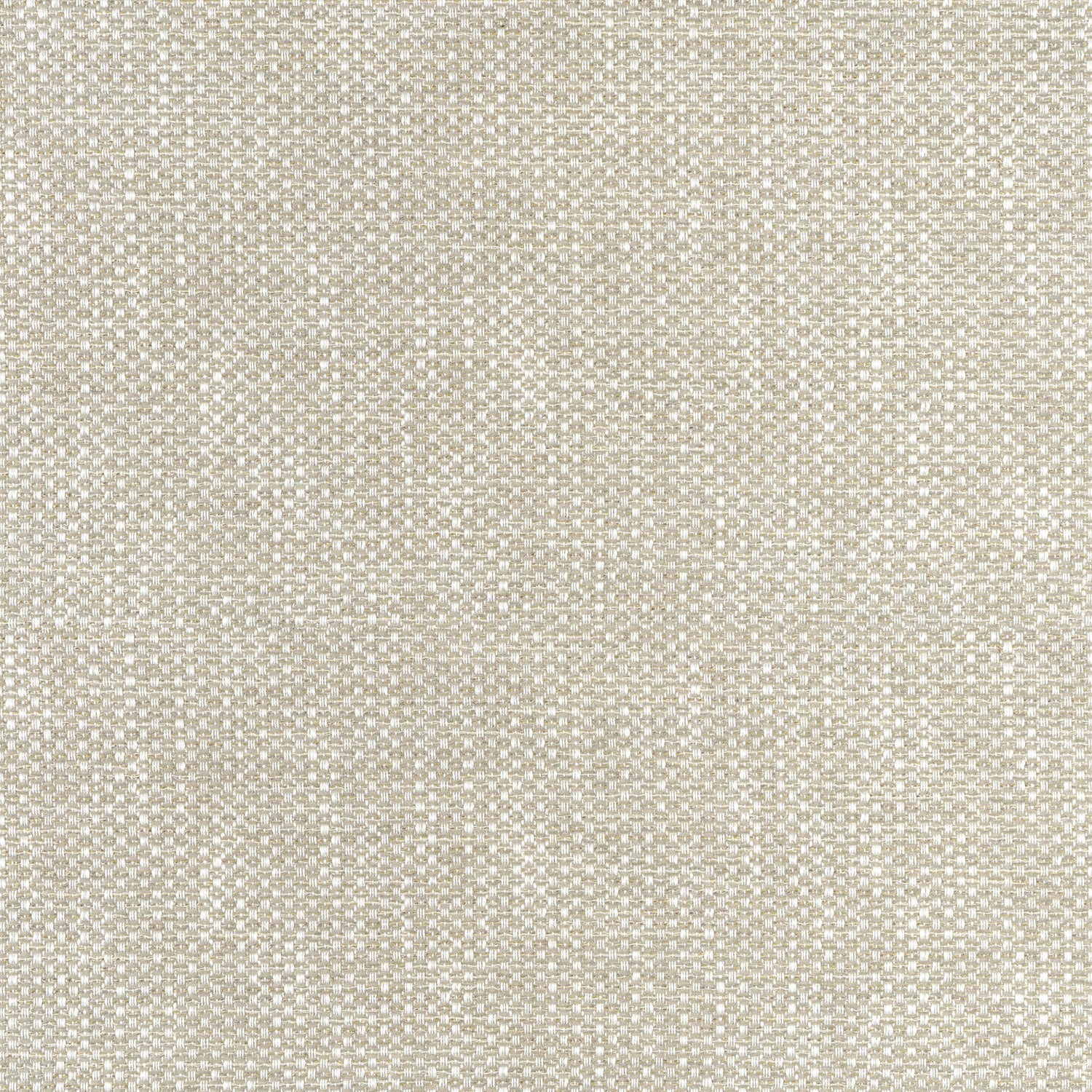 Cascade fabric in dove color - pattern number W75255 - by Thibaut in the Elements collection