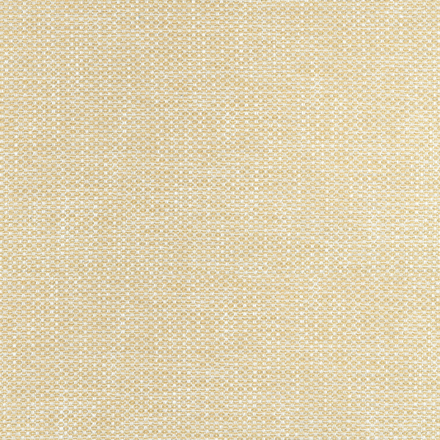 Cascade fabric in straw color - pattern number W75262 - by Thibaut in the Elements collection