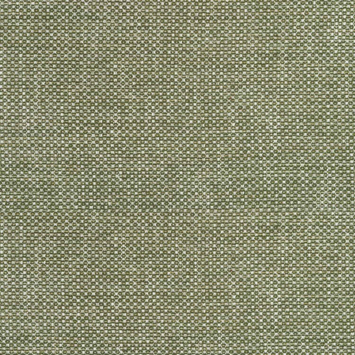 Cascade fabric in ivy color - pattern number W75263 - by Thibaut in the Elements collection
