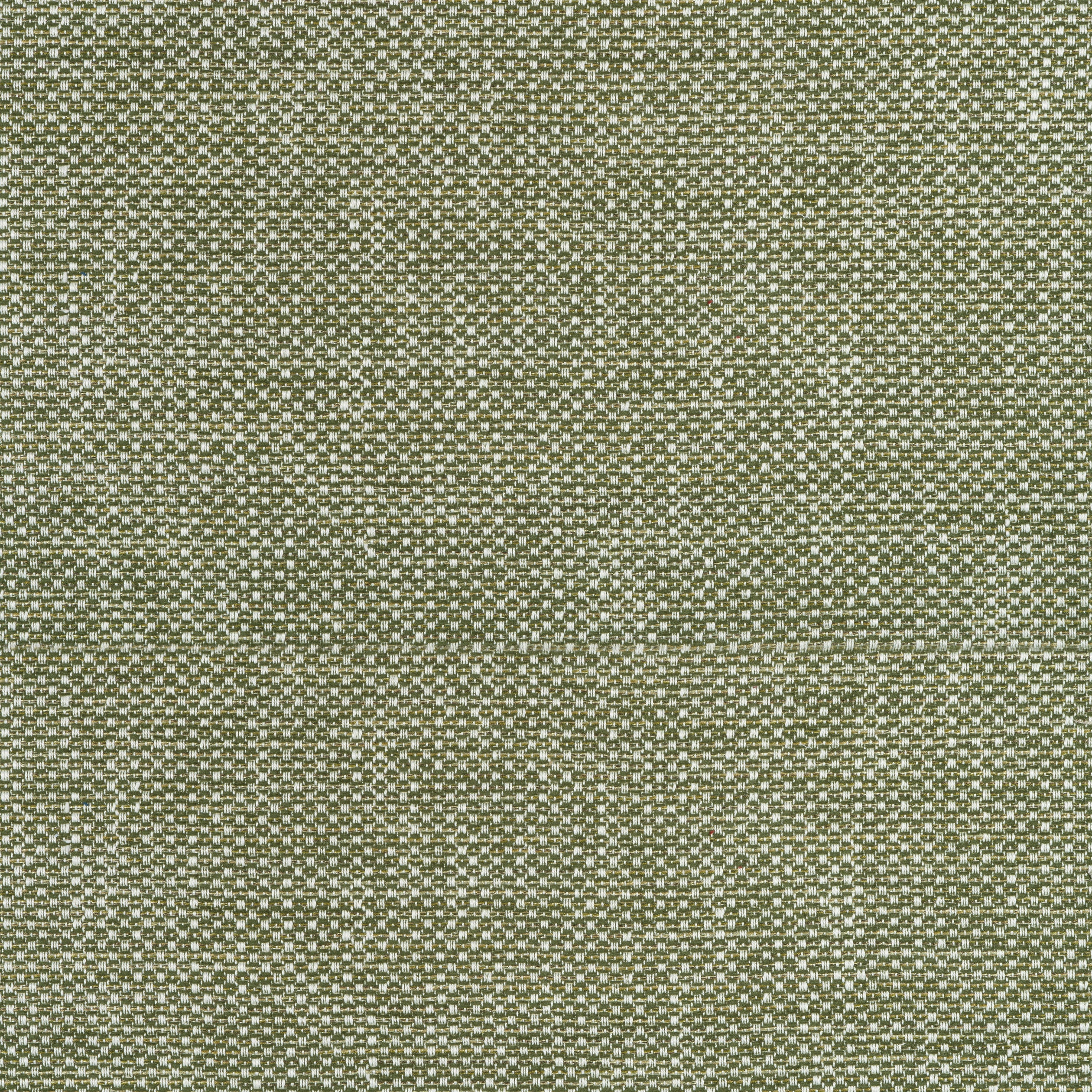 Cascade fabric in ivy color - pattern number W75263 - by Thibaut in the Elements collection