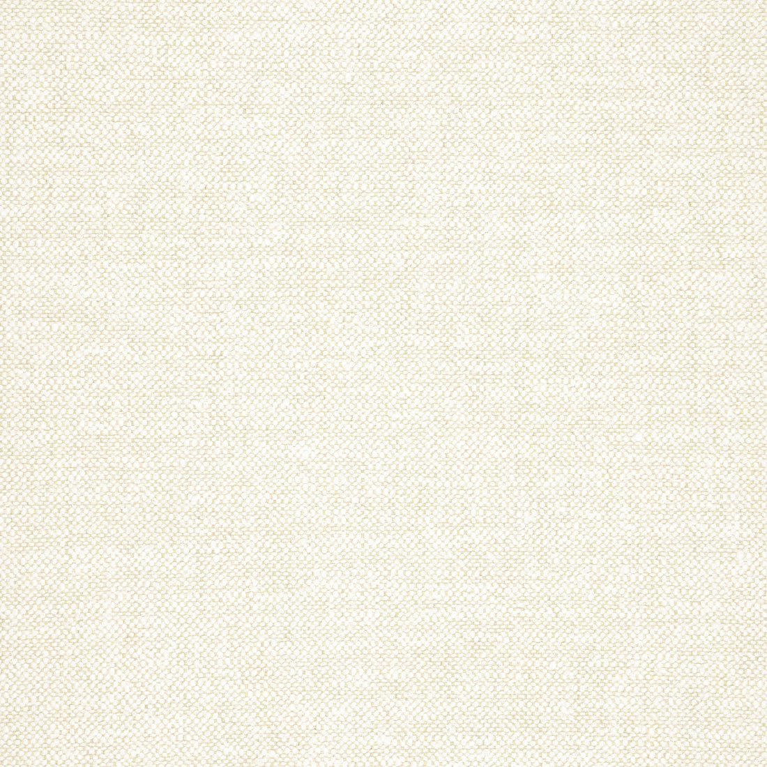 Sasso fabric in sand color - pattern number W77102 - by Thibaut in the Veneto collection