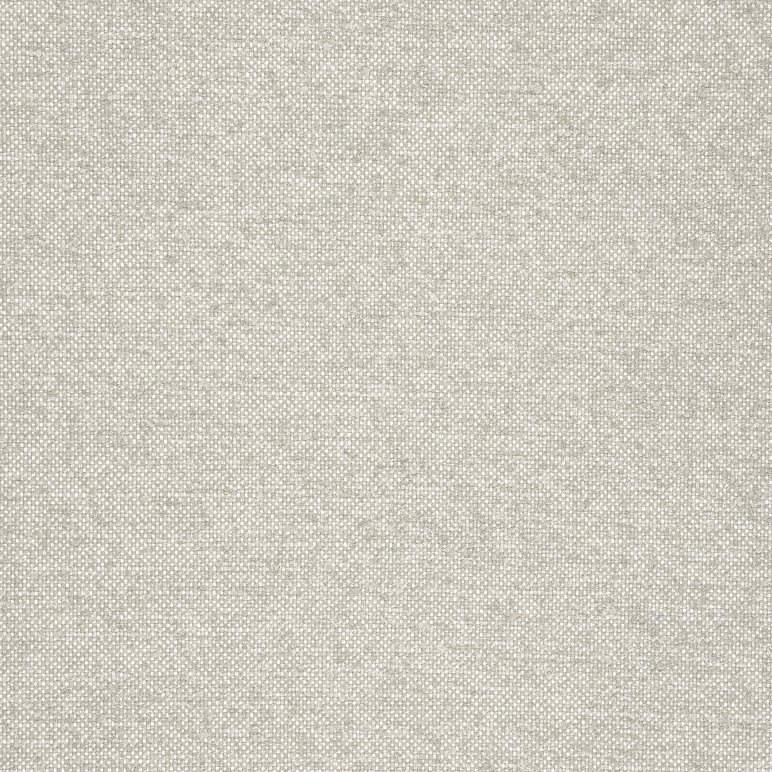 Sasso fabric in stone color - pattern number W77103 - by Thibaut in the Veneto collection