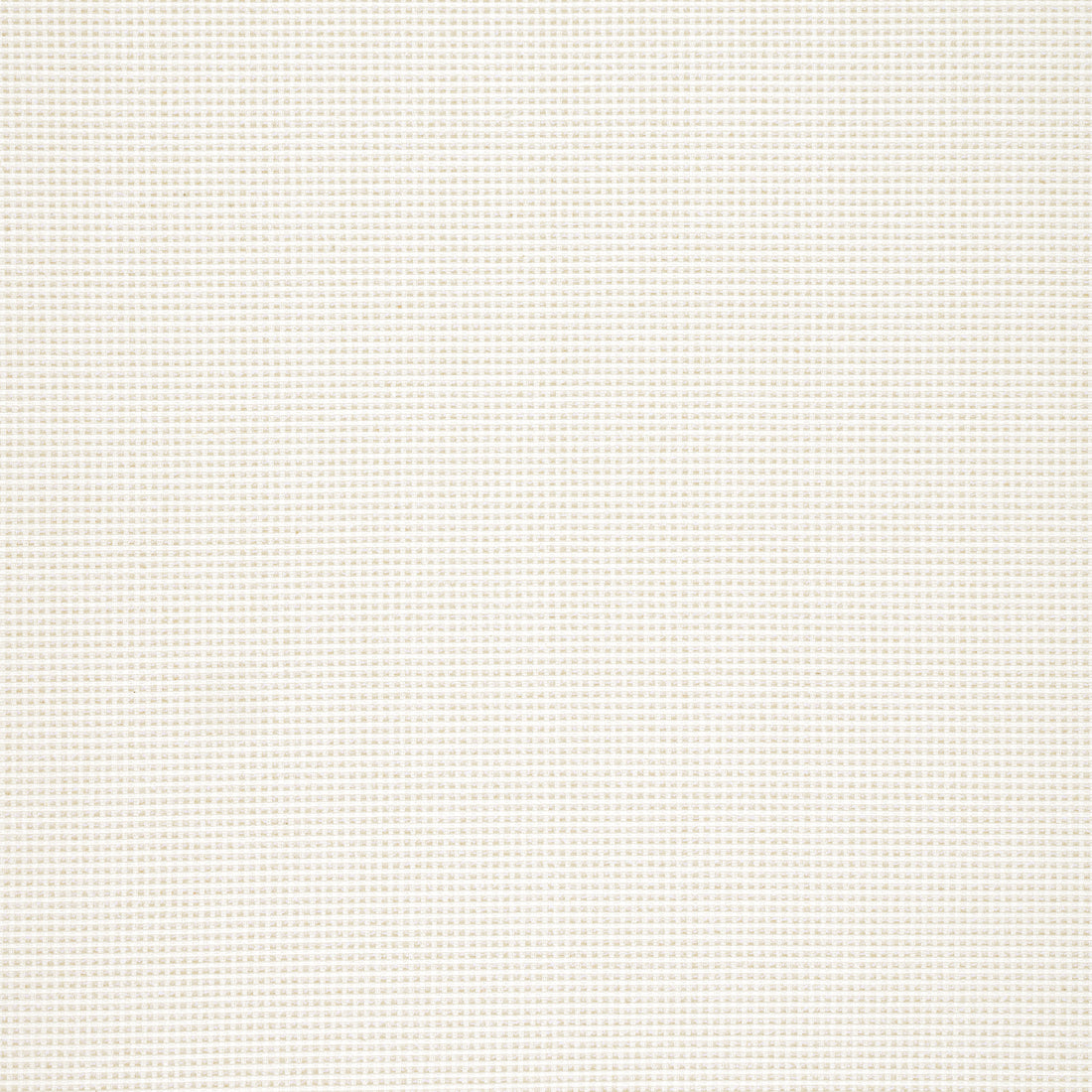 Stella fabric in parchment color - pattern number W77114 - by Thibaut in the Veneto collection