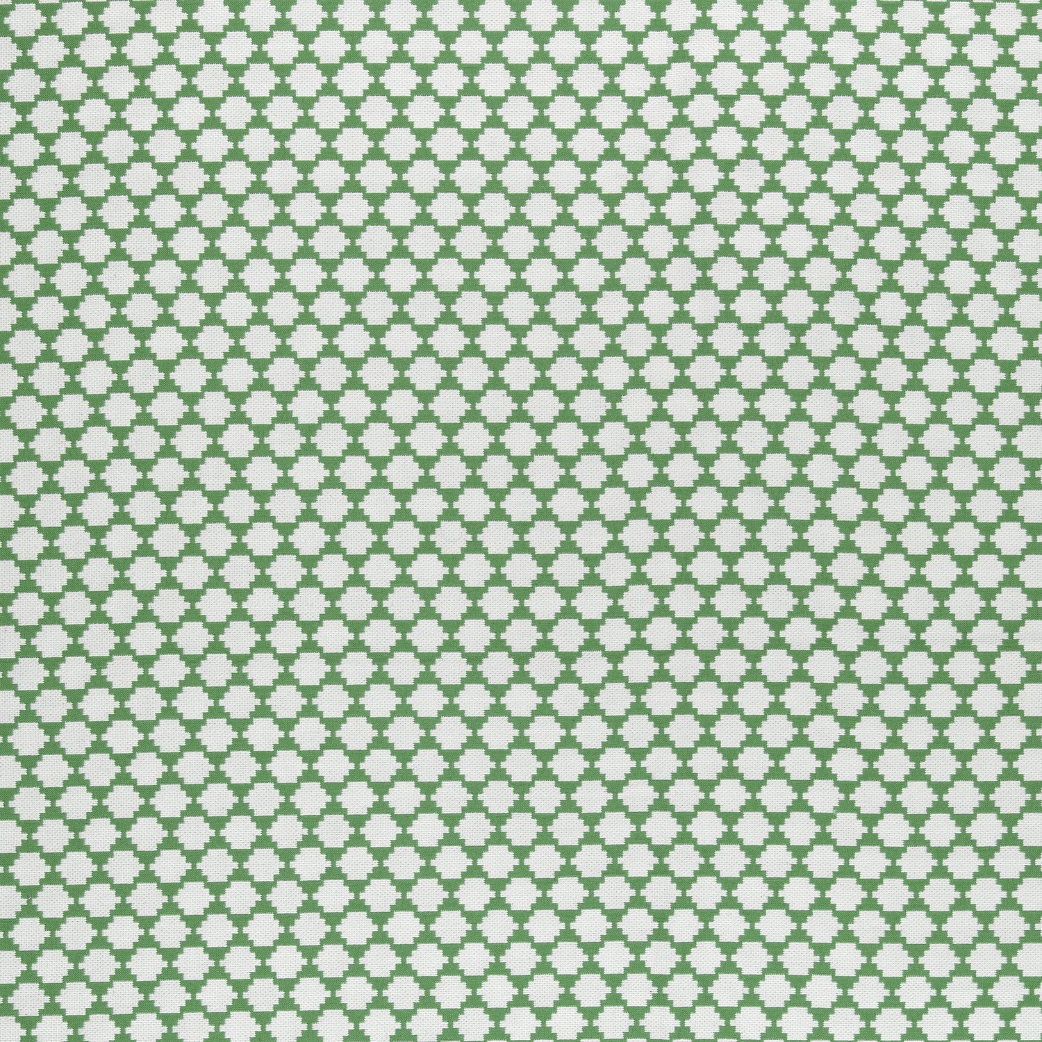 Bijou fabric in green color - pattern number W775452 - by Thibaut in the Dynasty collection