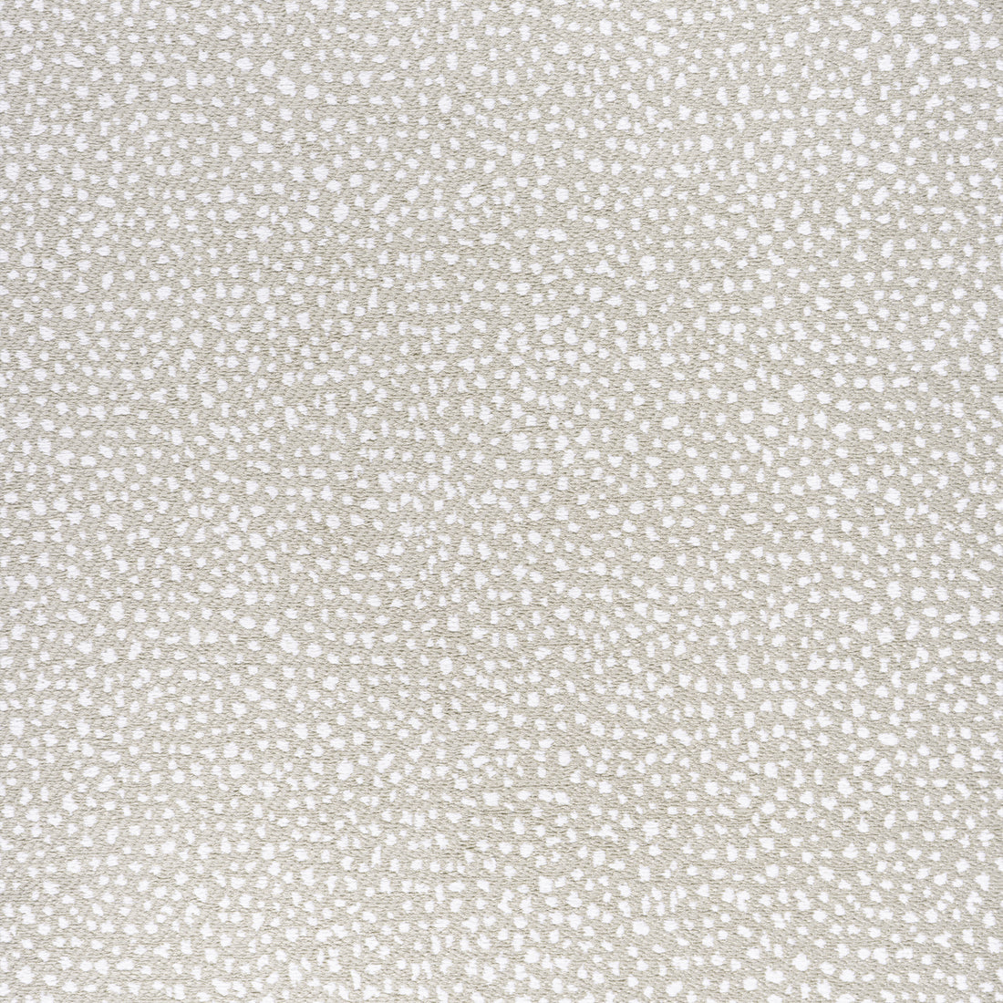 Fawn fabric in oat color - pattern number W78350 - by Thibaut in the  Sierra collection
