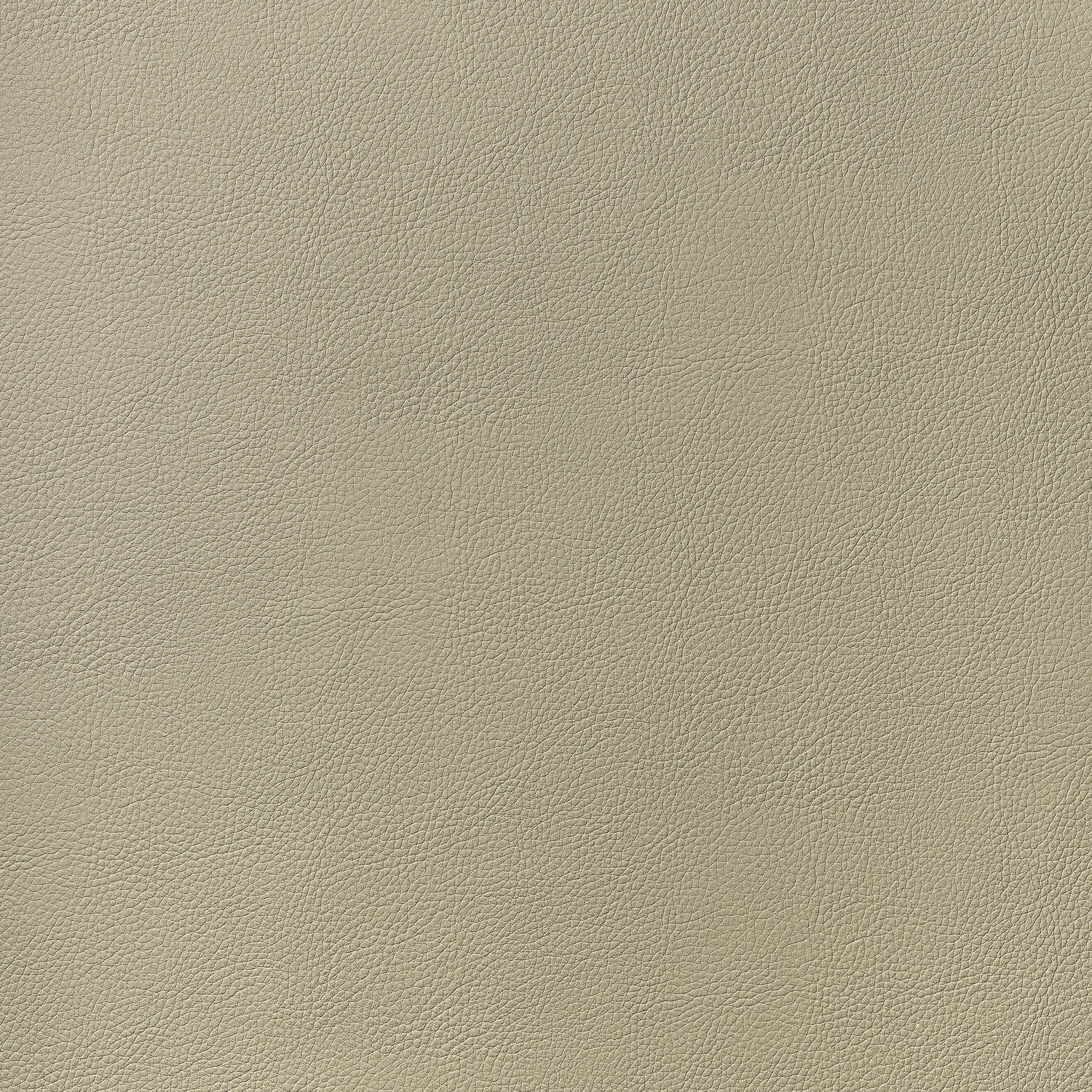 Arcata fabric in dune color - pattern number W78383 - by Thibaut in the  Sierra collection