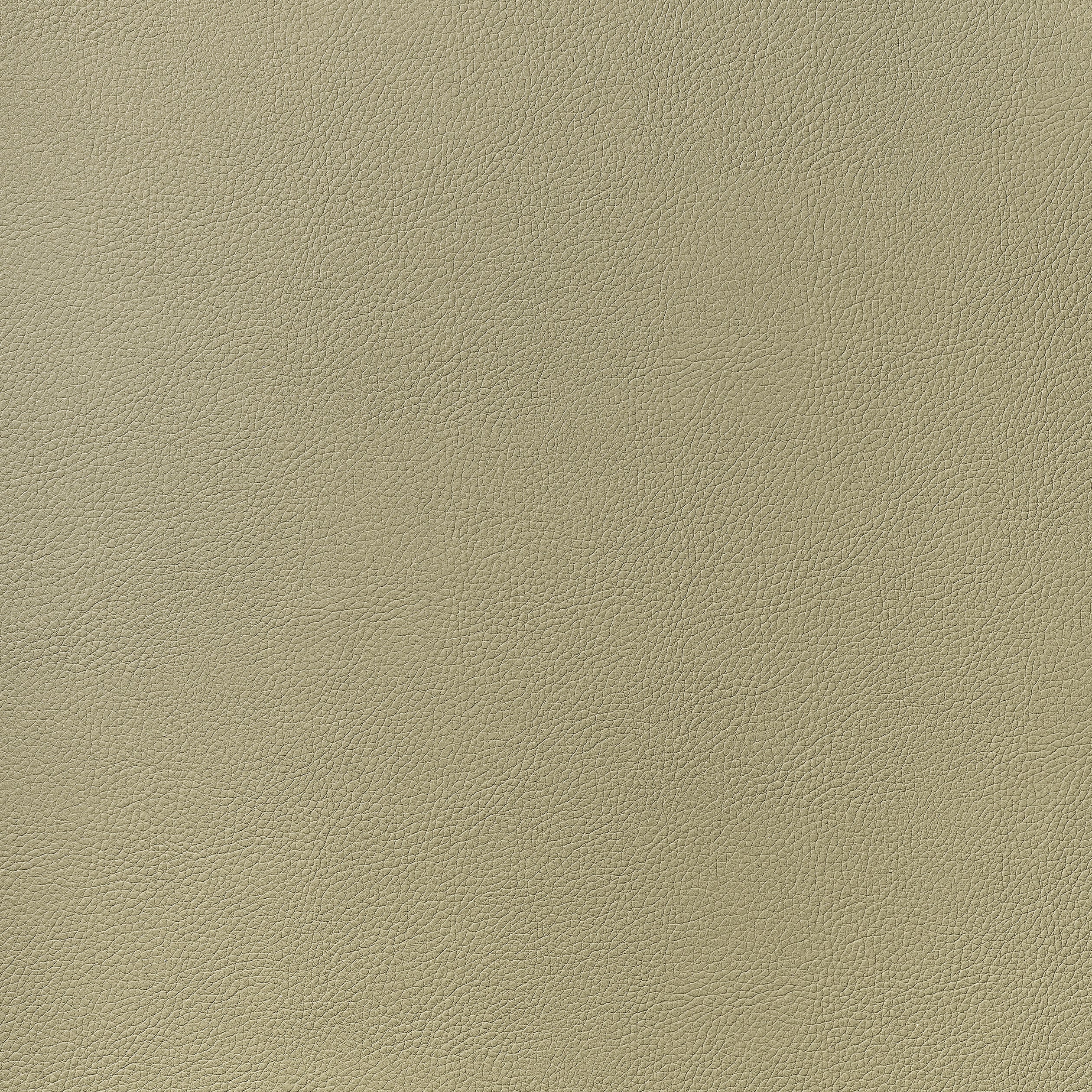 Arcata fabric in twig color - pattern number W78385 - by Thibaut in the  Sierra collection