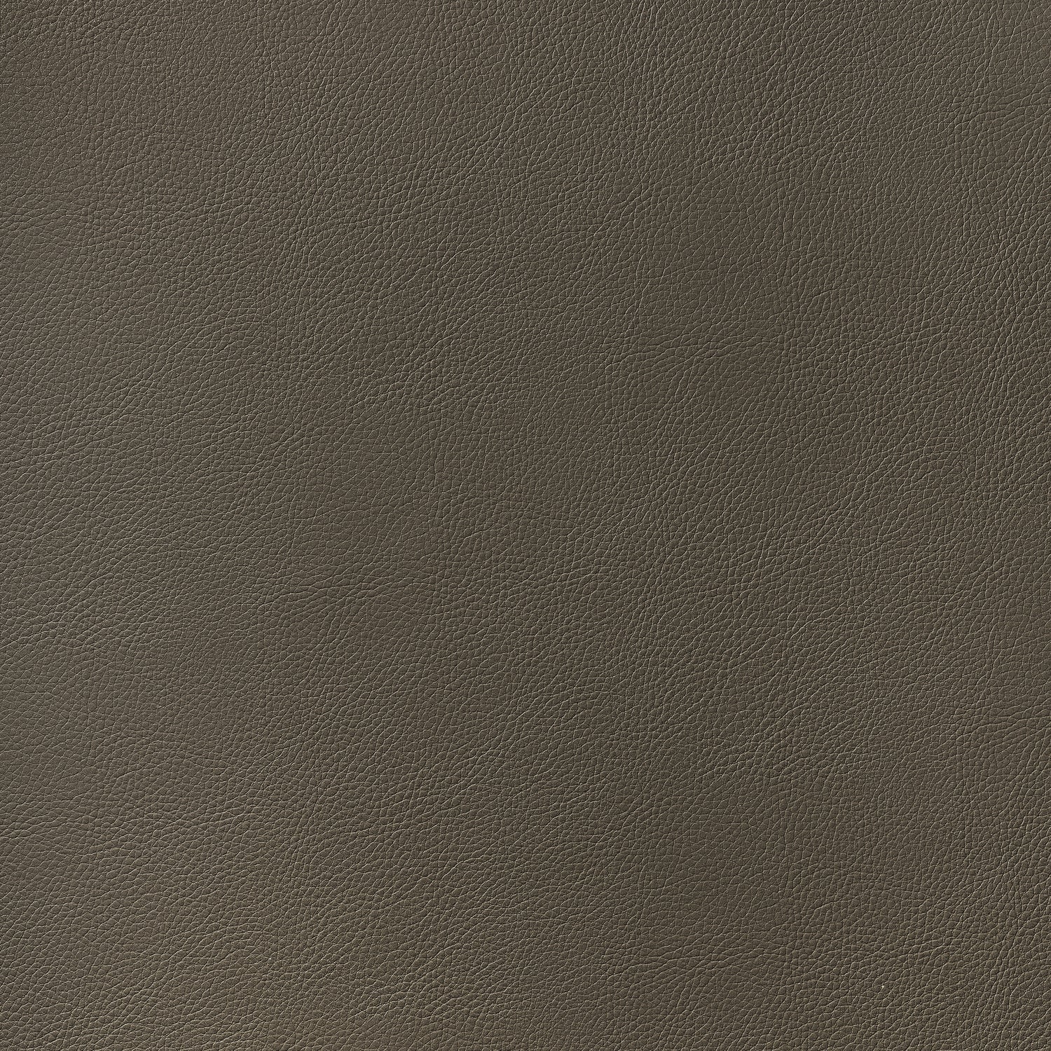 Arcata fabric in bark color - pattern number W78397 - by Thibaut in the  Sierra collection