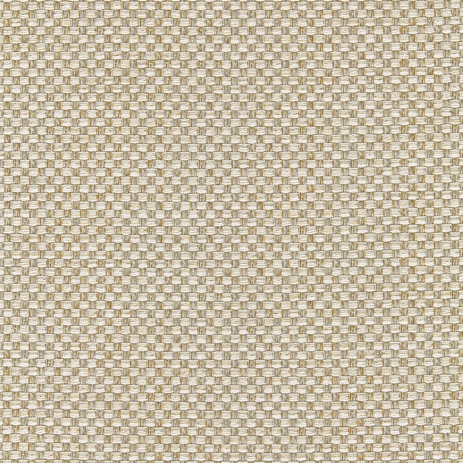 Palmetto fabric in almond color - pattern number W80229 - by Thibaut in the Kaleidoscope Fabrics collection