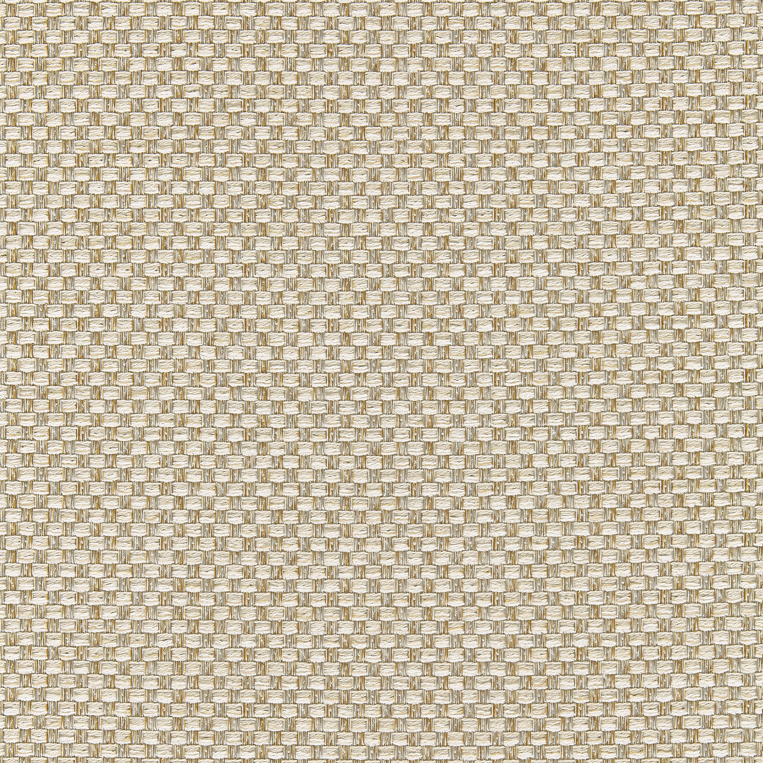 Palmetto fabric in almond color - pattern number W80229 - by Thibaut in the Kaleidoscope Fabrics collection