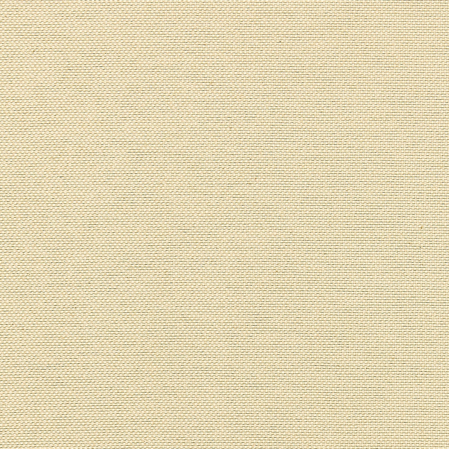 Emery fabric in oatmeal color - pattern number W80264 - by Thibaut in the Kaleidoscope Fabrics collection