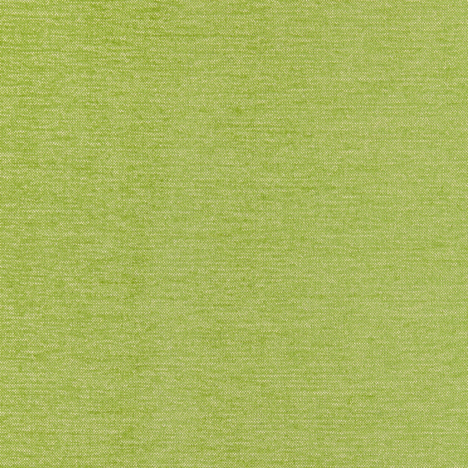 Aura fabric in grass color - pattern number W80278 - by Thibaut in the Kaleidoscope Fabrics collection