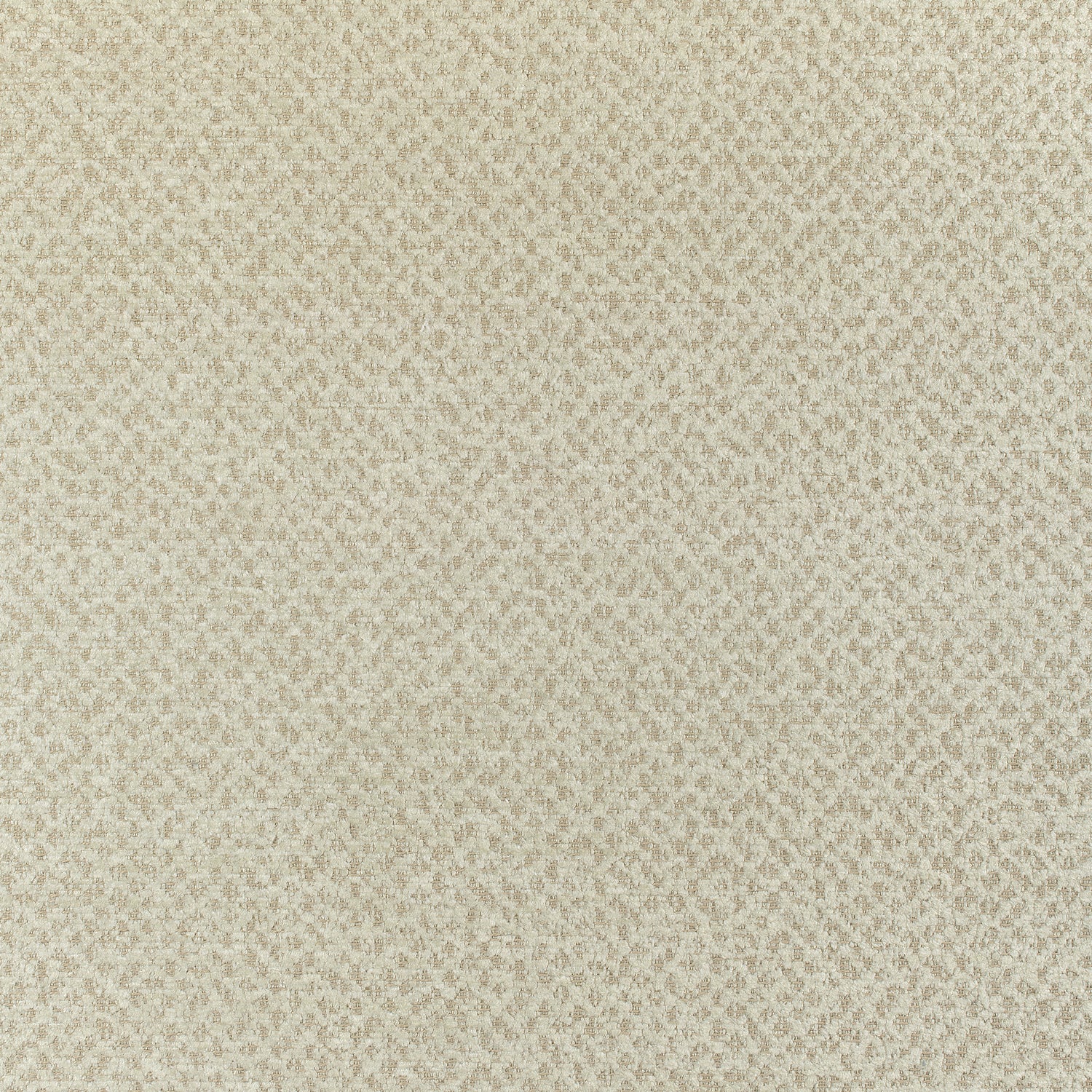 Gryffin fabric in flax color - pattern number W80410 - by Thibaut in the Mosaic collection