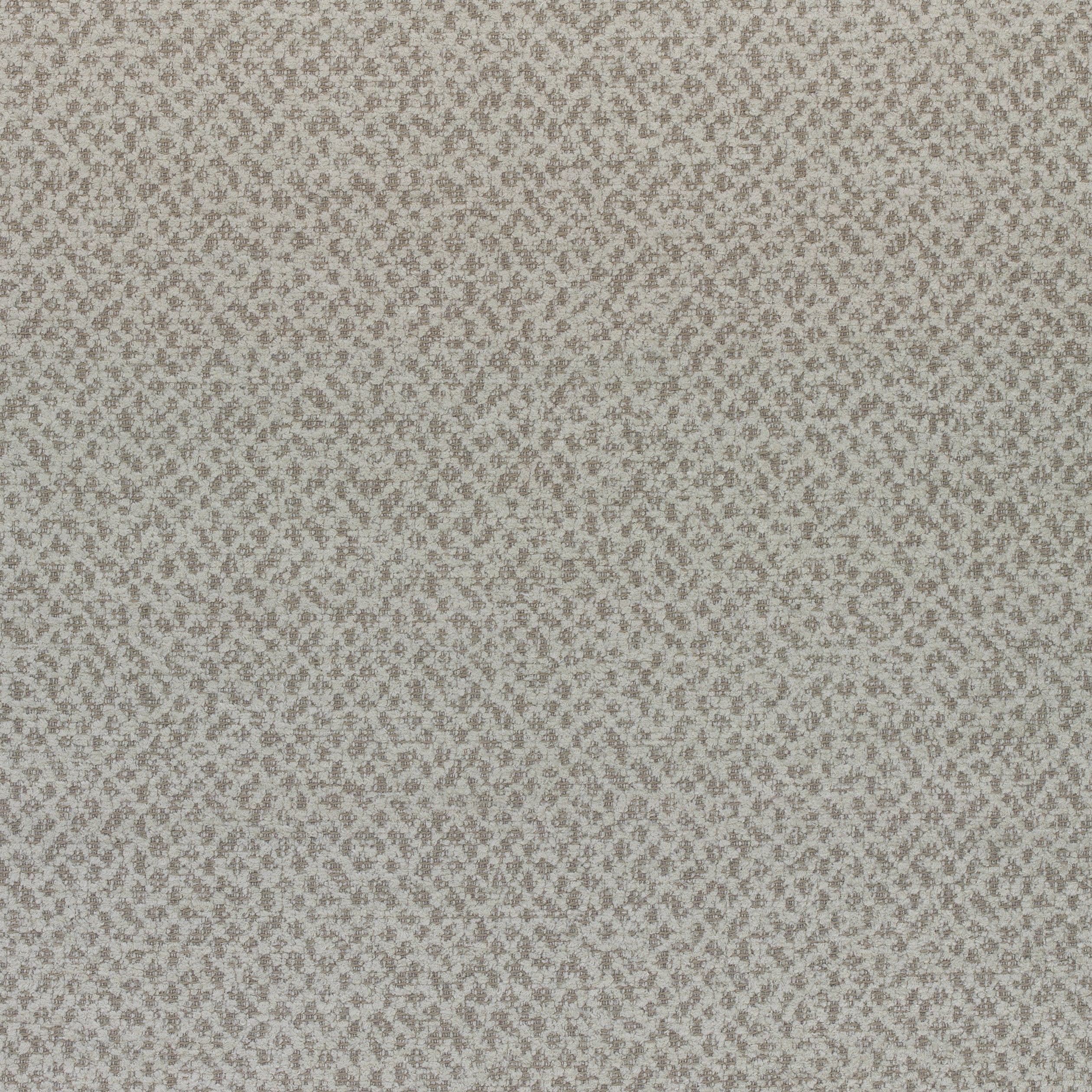 Gryffin fabric in stone color - pattern number W80411 - by Thibaut in the Mosaic collection