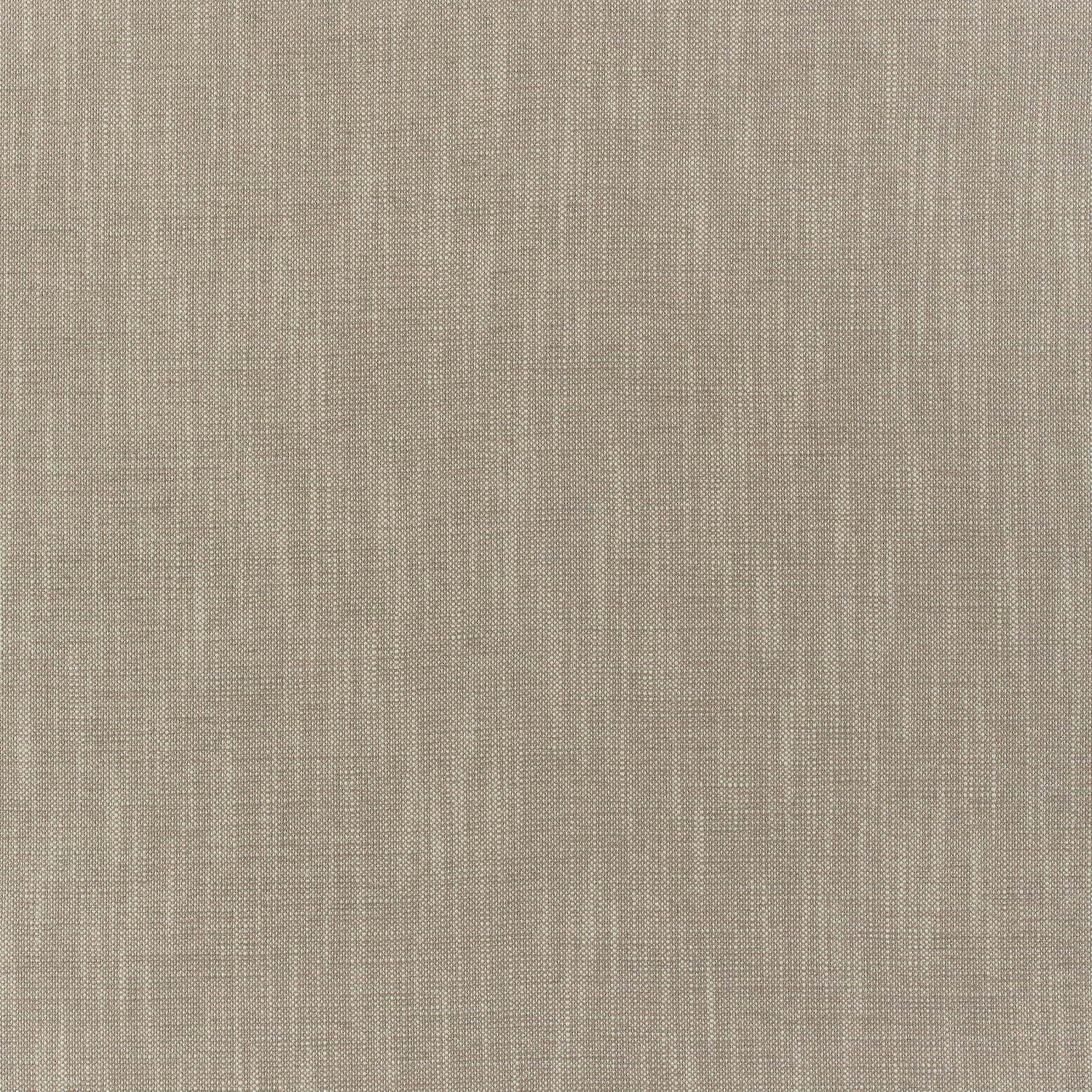 Bailey fabric in taupe color - pattern number W80503 - by Thibaut in the Mosaic collection