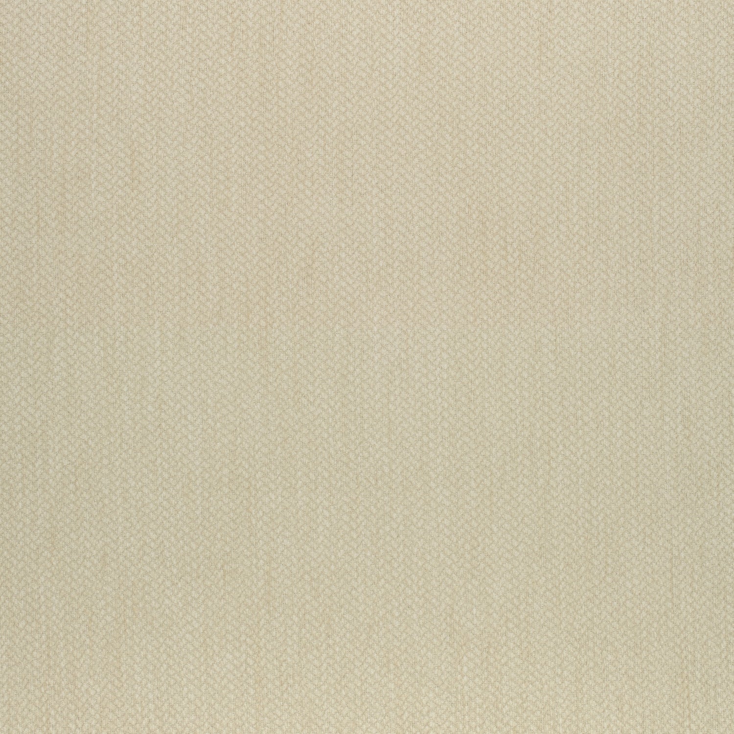 Orion fabric in honey color - pattern number W80505 - by Thibaut in the Mosaic collection