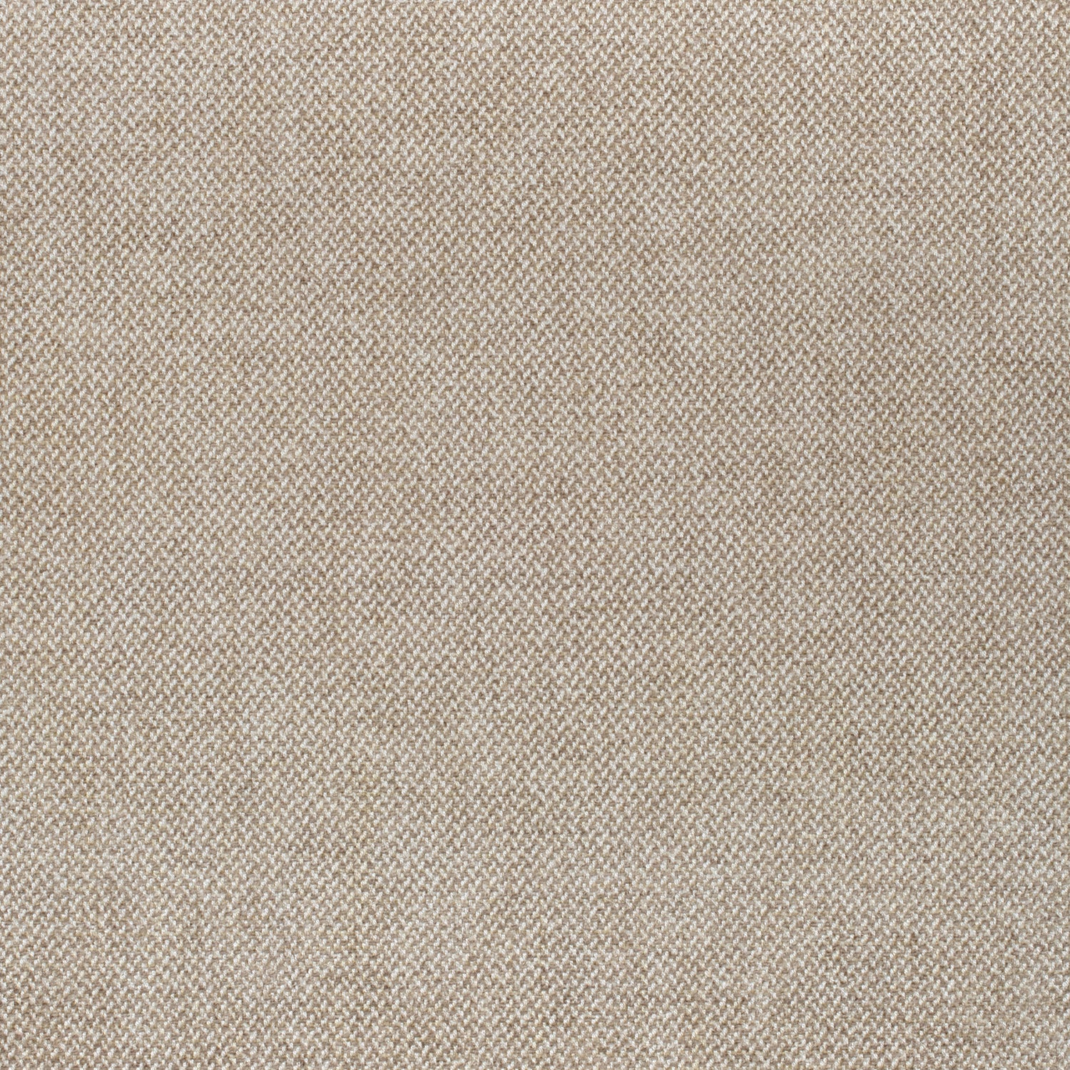 Picco fabric in sand color - pattern number W80703 - by Thibaut in the Woven Resource 11: Rialto collection