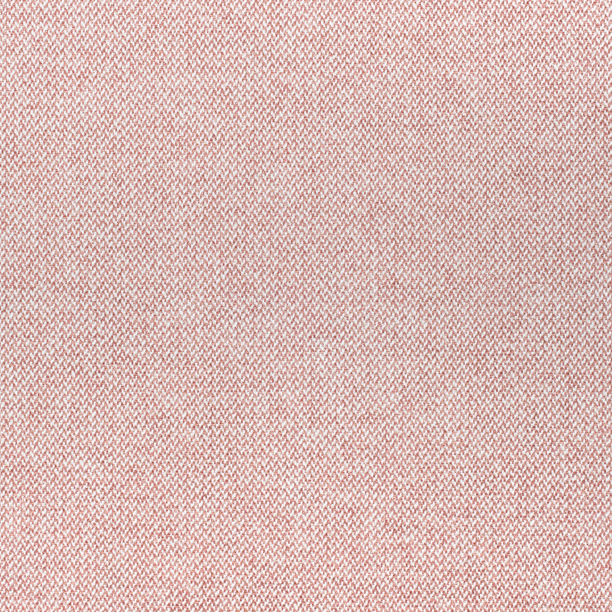 Picco fabric in blush color - pattern number W80705 - by Thibaut in the Woven Resource 11: Rialto collection