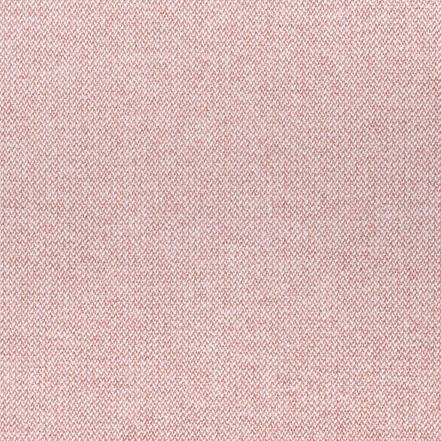 Picco fabric in blush color - pattern number W80705 - by Thibaut in the Signature Textures collection