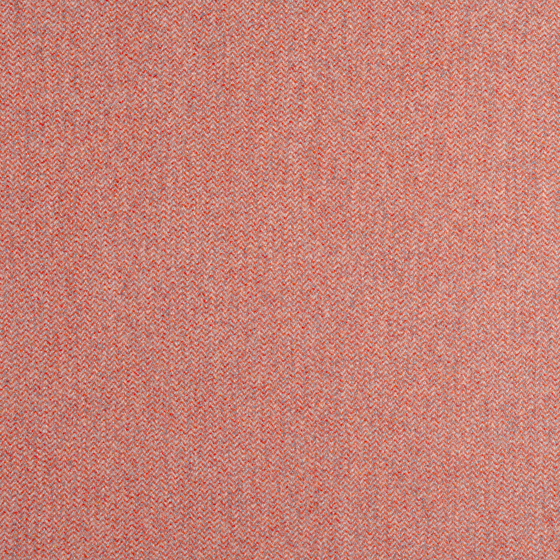 Dorset fabric in adobe color - pattern number W80904 - by Thibaut in the Dunmore collection