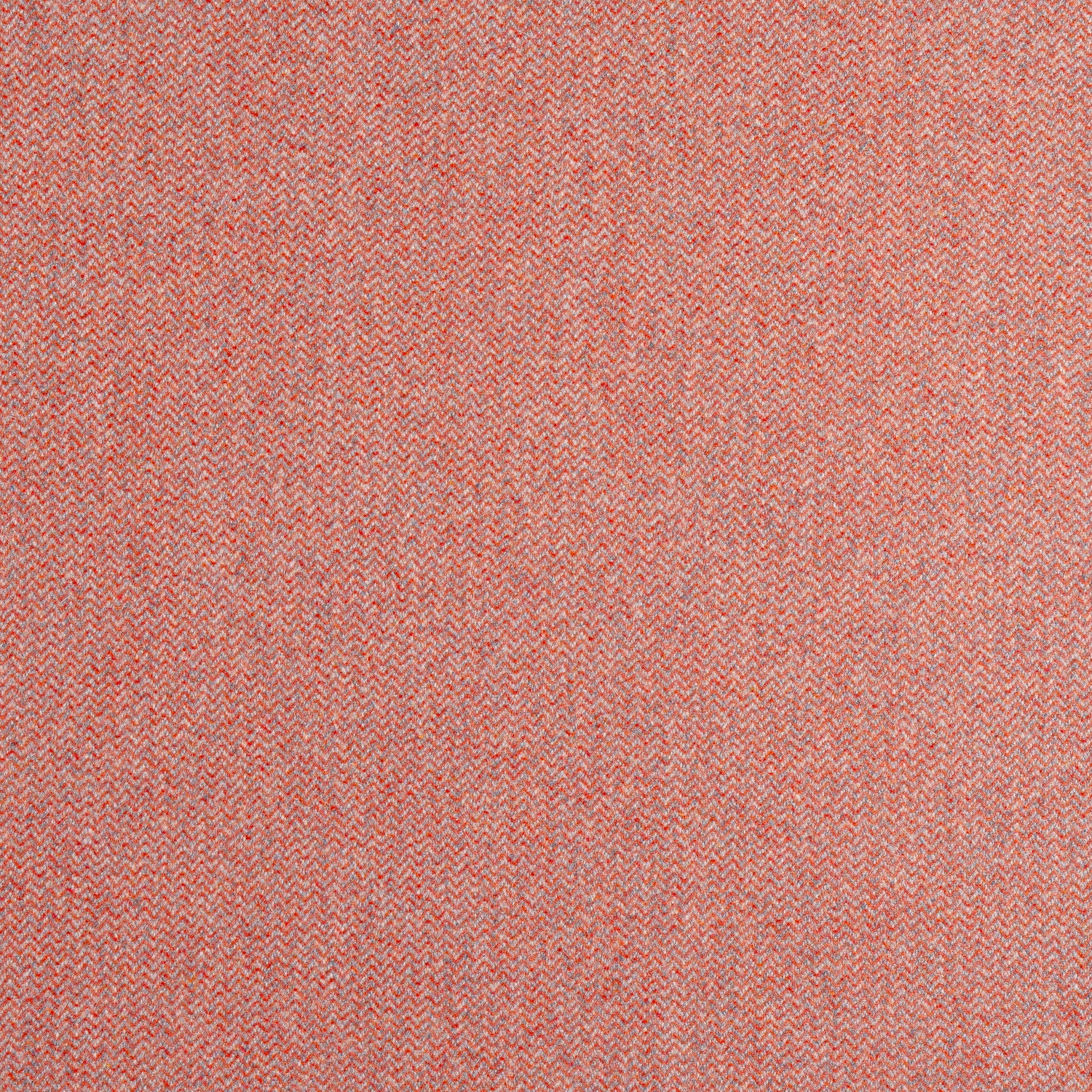 Dorset fabric in adobe color - pattern number W80904 - by Thibaut in the Dunmore collection