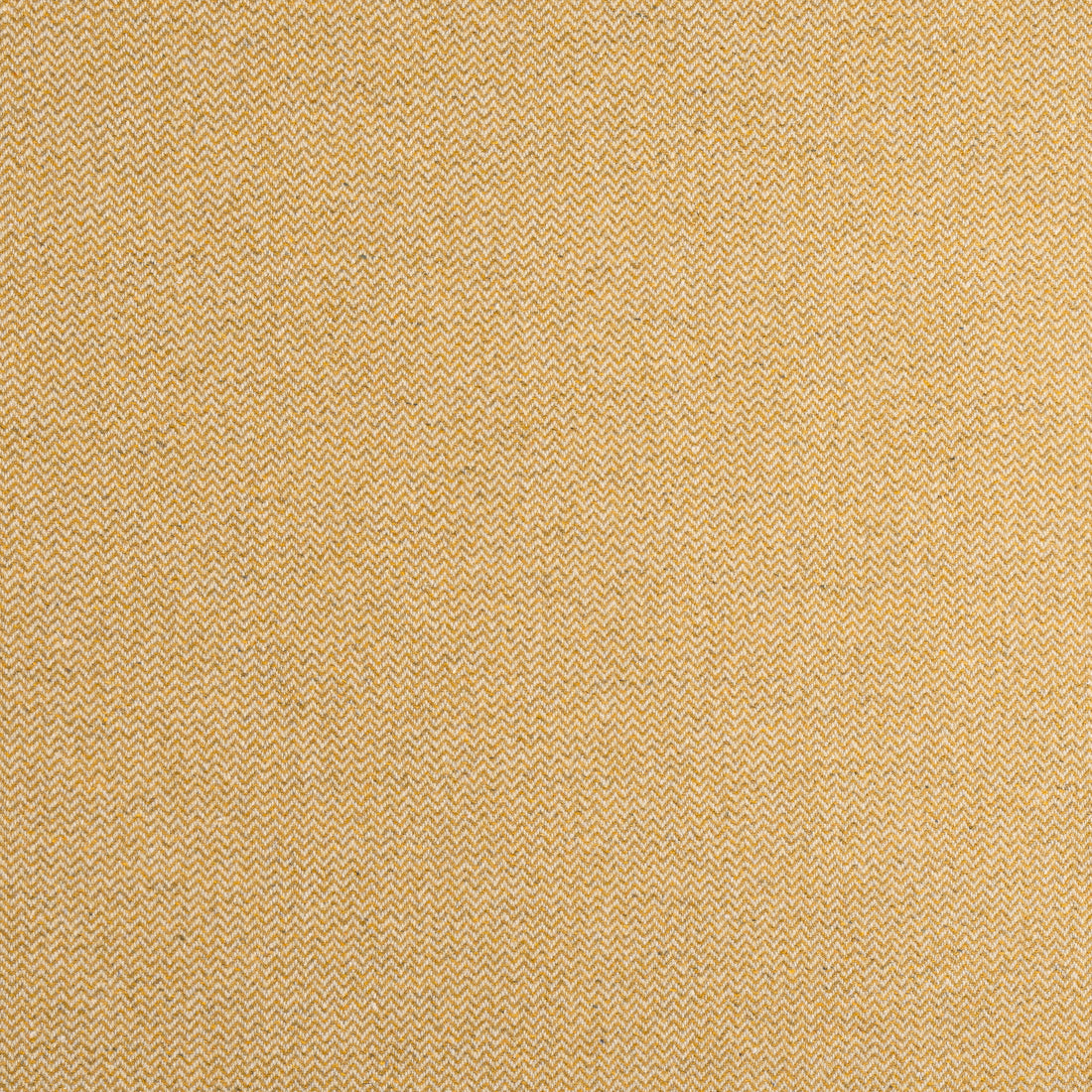 Dorset fabric in honey color - pattern number W80905 - by Thibaut in the Dunmore collection