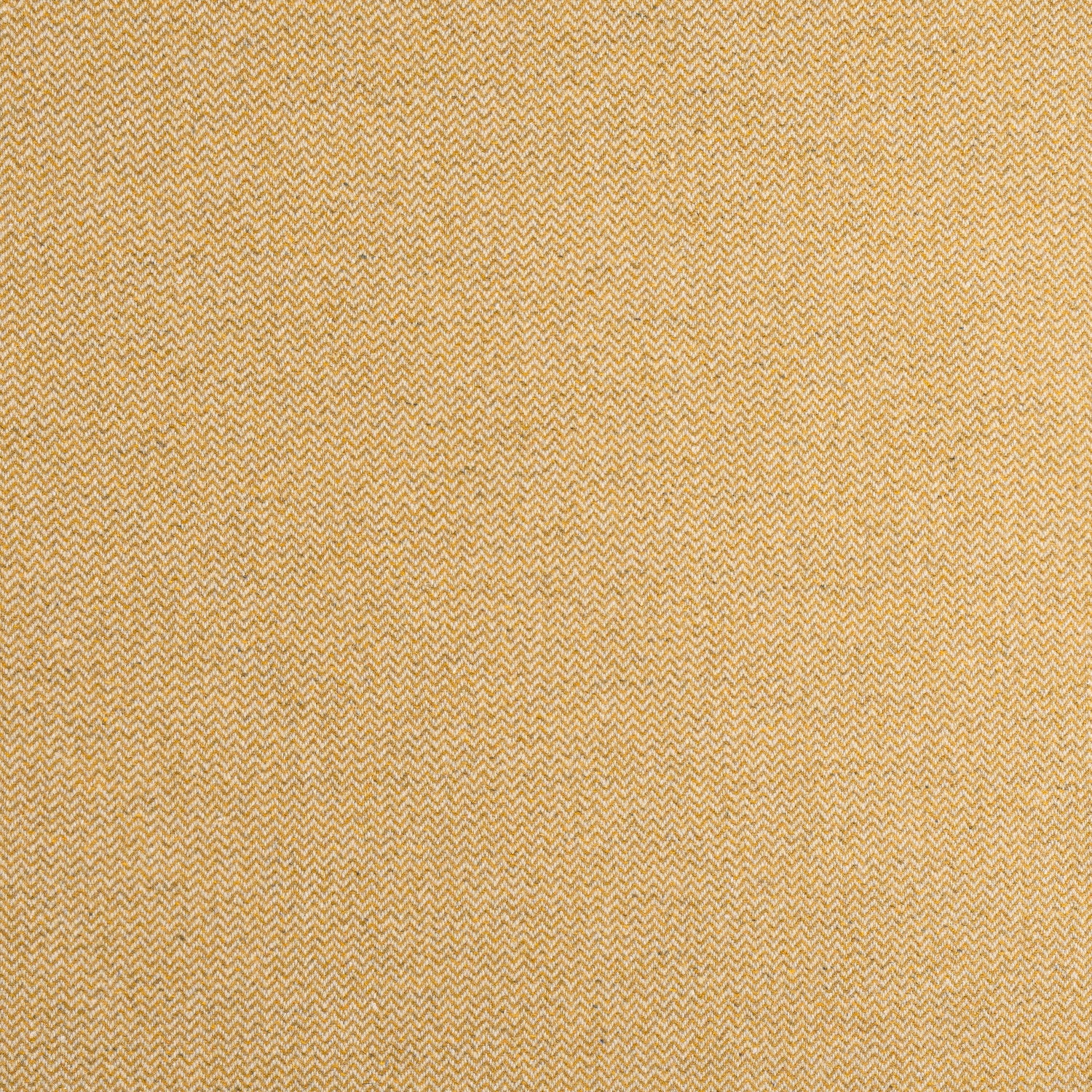 Dorset fabric in honey color - pattern number W80905 - by Thibaut in the Dunmore collection