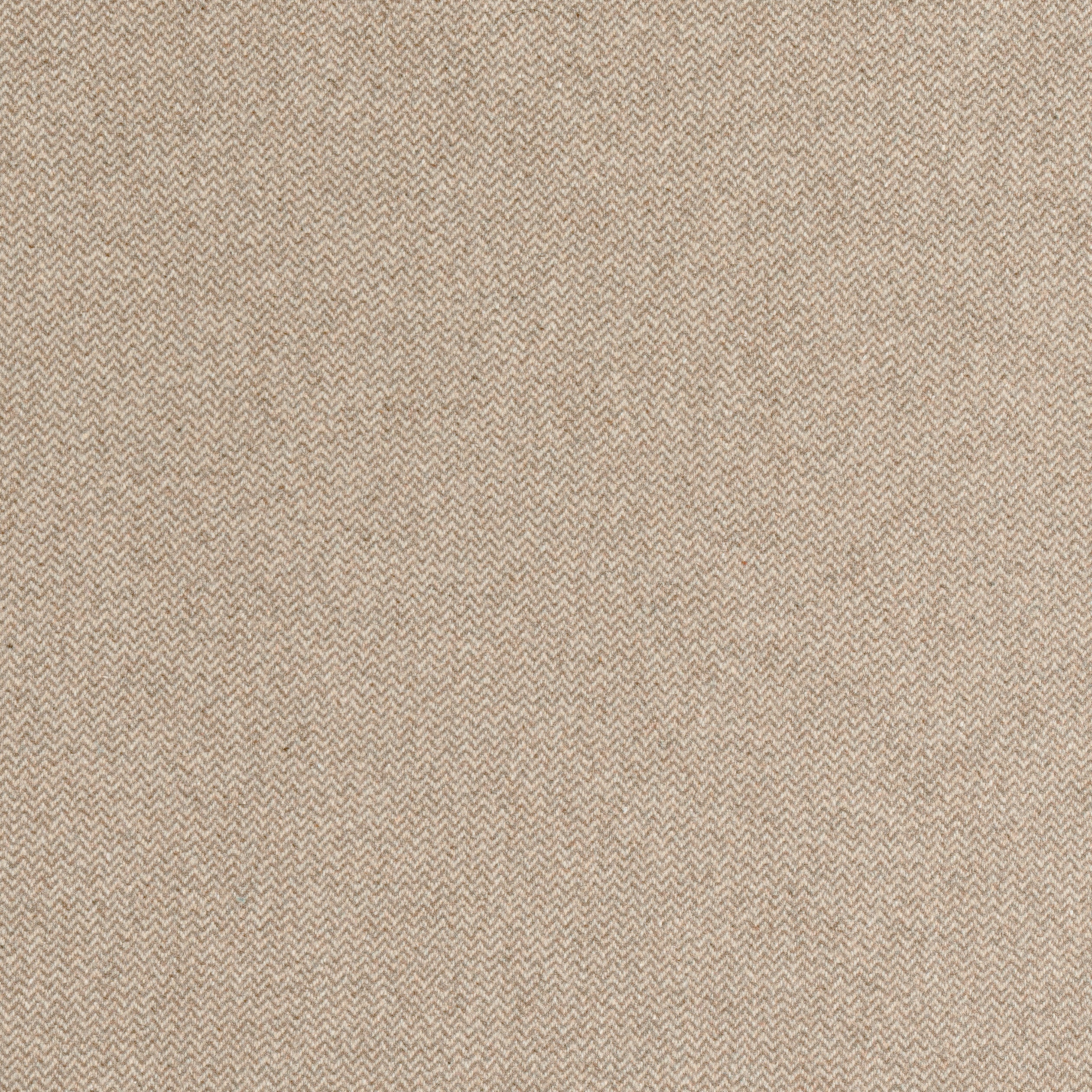 Dorset fabric in fawn color - pattern number W80918 - by Thibaut in the Dunmore collection