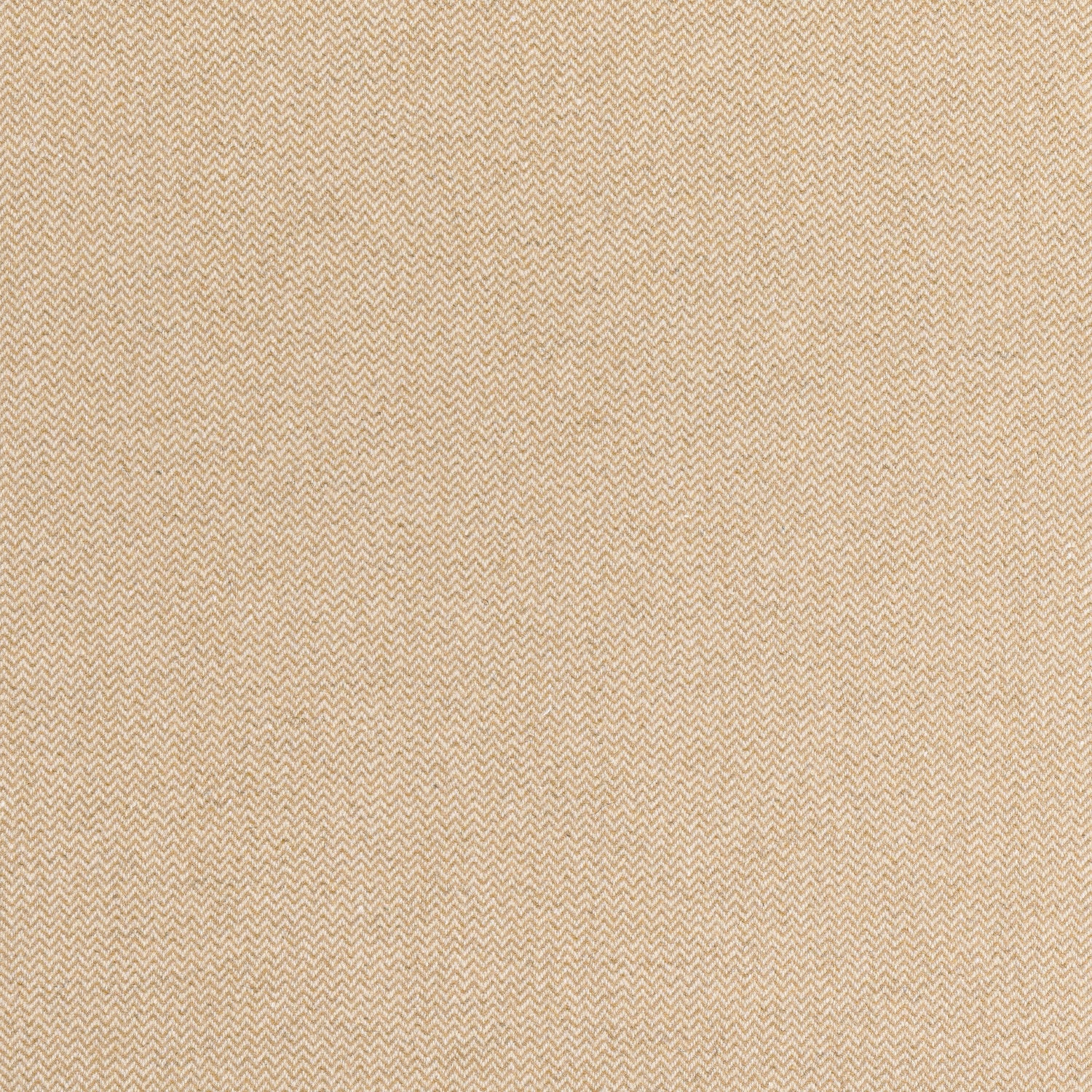 Dorset fabric in cashmere color - pattern number W80919 - by Thibaut in the Dunmore collection