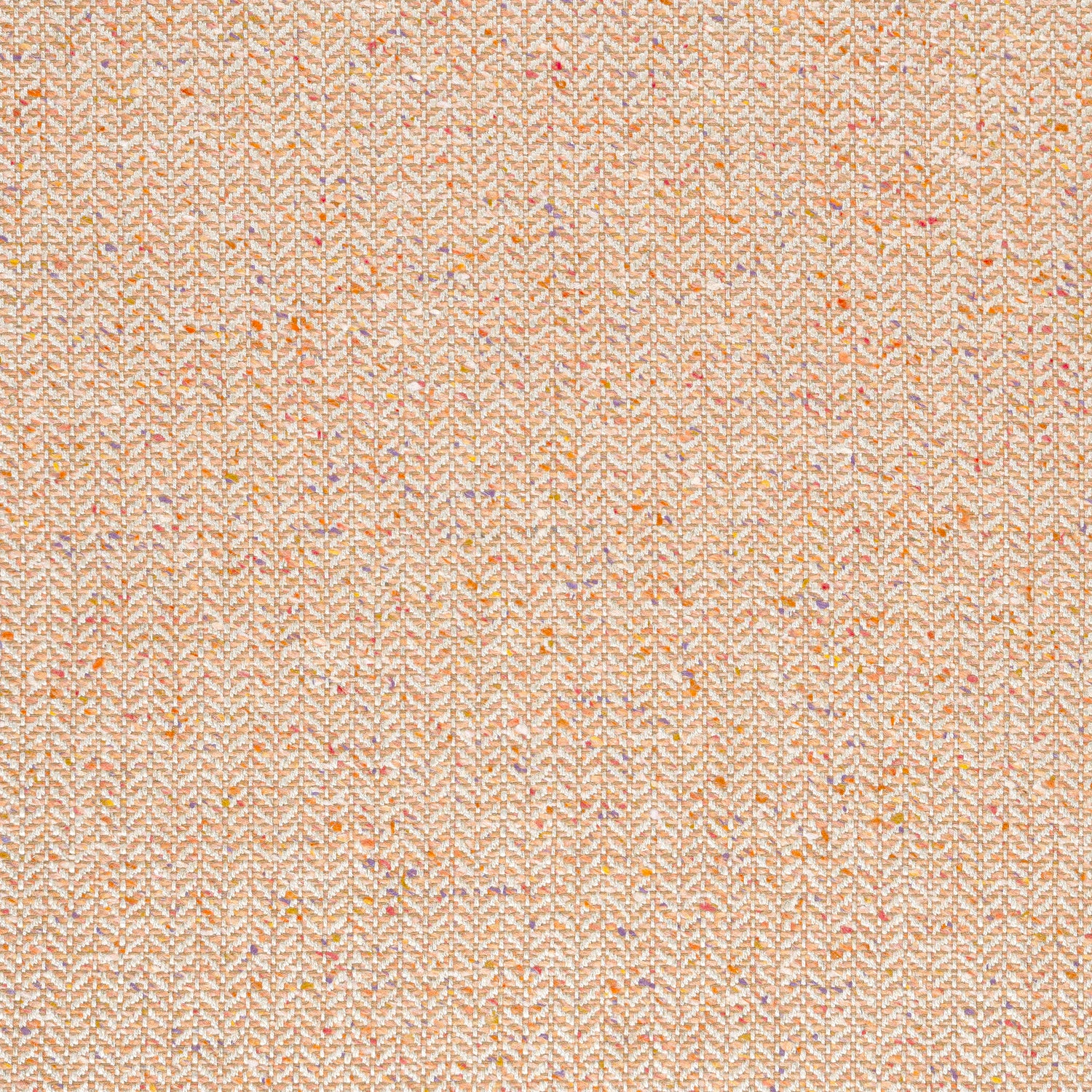 Heath fabric in apricot color - pattern number W80926 - by Thibaut in the Dunmore collection