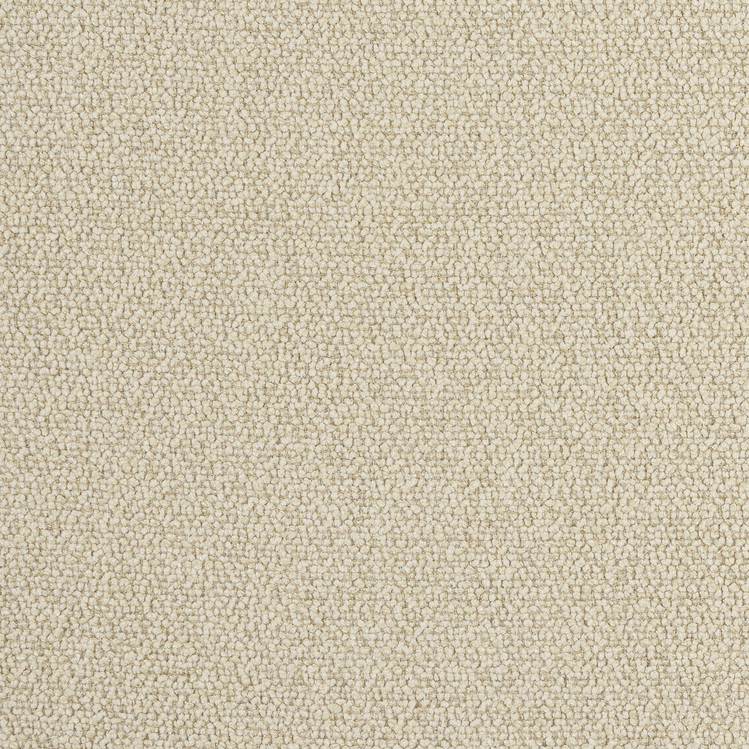 Dolcetto fabric in cashmere color - pattern number W8143 - by Thibaut in the Sereno collection