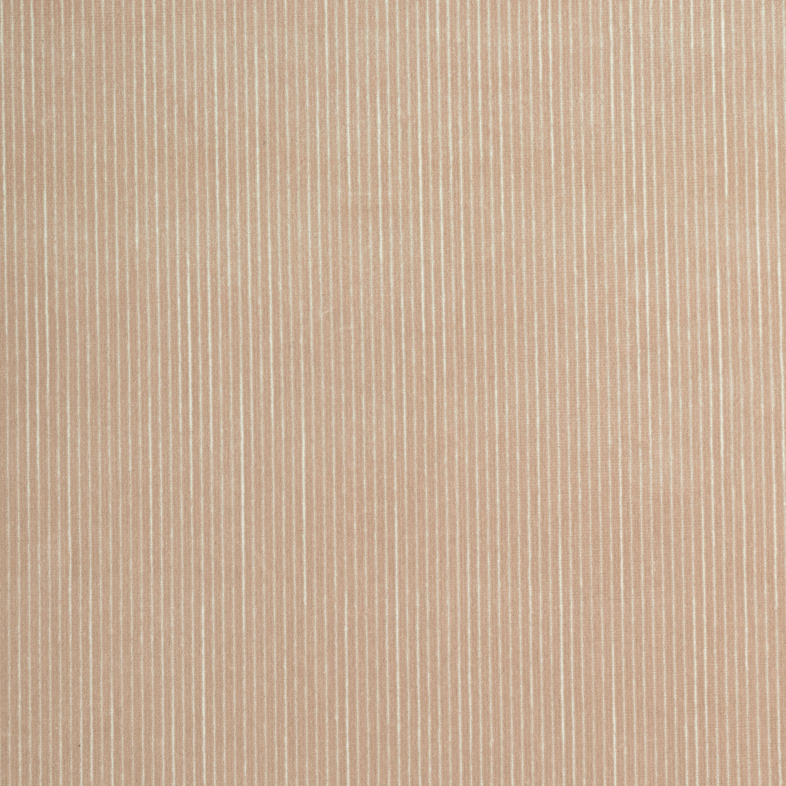 Fino Velvet fabric in cashmere color - pattern number W8149 - by Thibaut in the Sereno collection