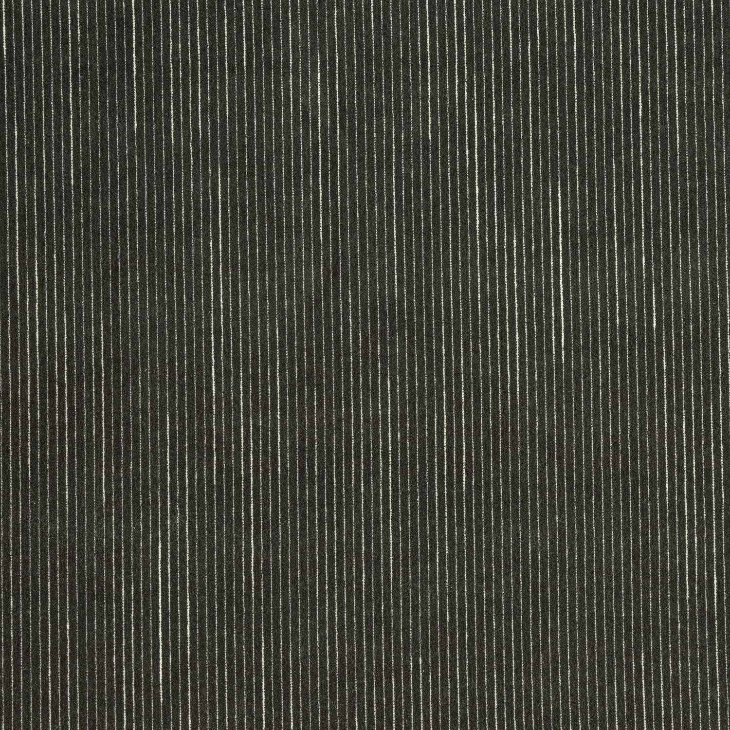 Fino Velvet fabric in smoke color - pattern number W8150 - by Thibaut in the Sereno collection