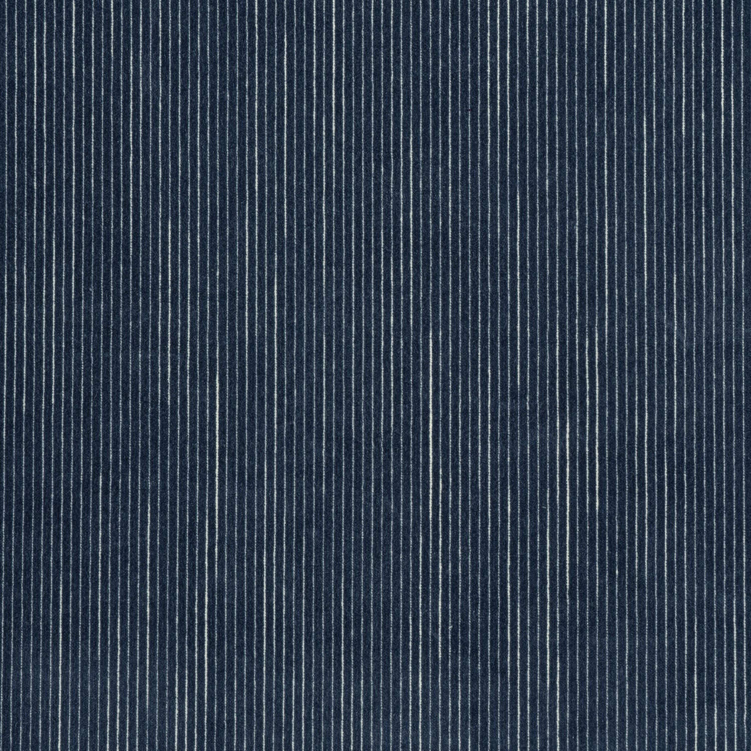 Fino Velvet fabric in navy color - pattern number W8153 - by Thibaut in the Sereno collection