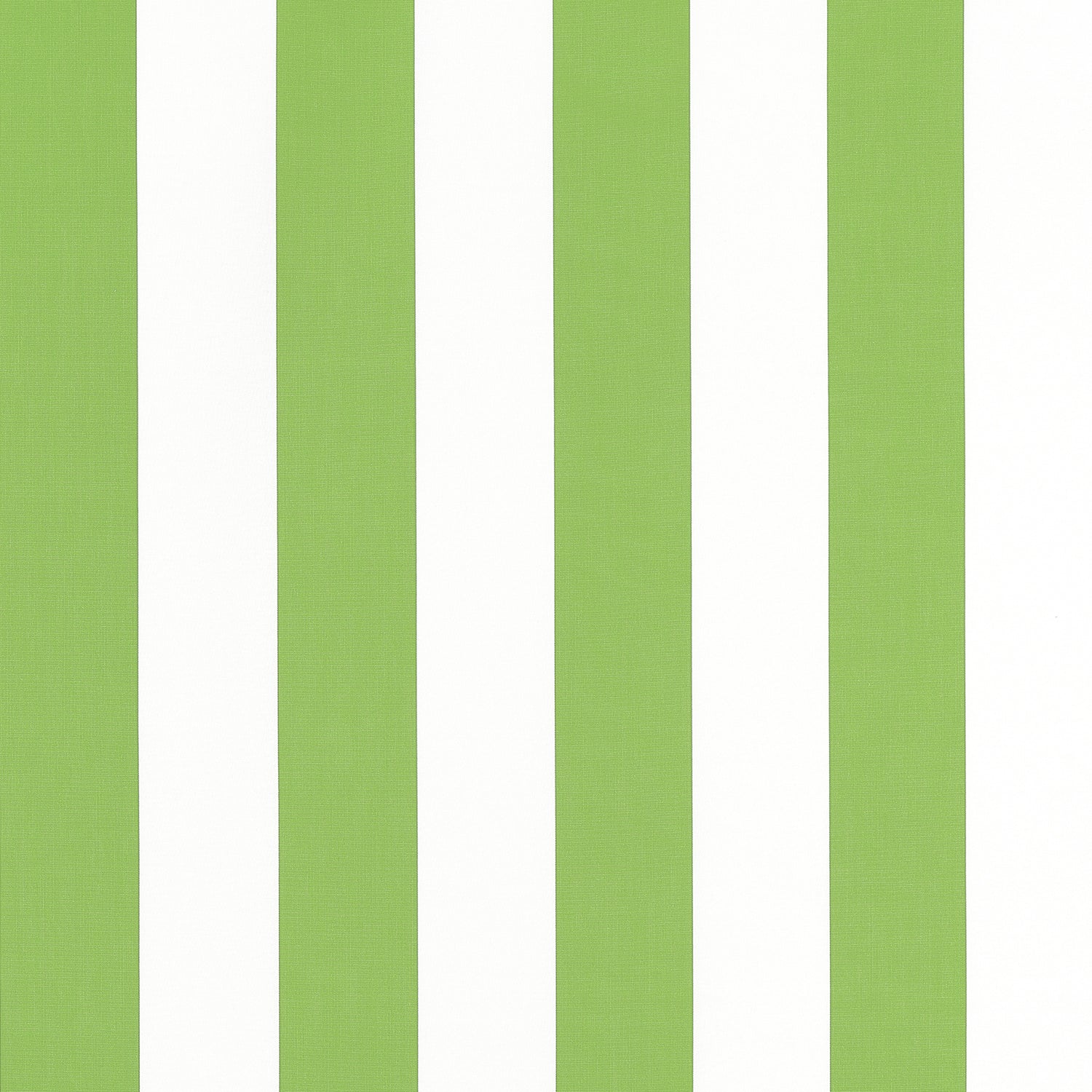 Cabana Stripe fabric in kiwi color - pattern number W81633 - by Thibaut in the Locale collection